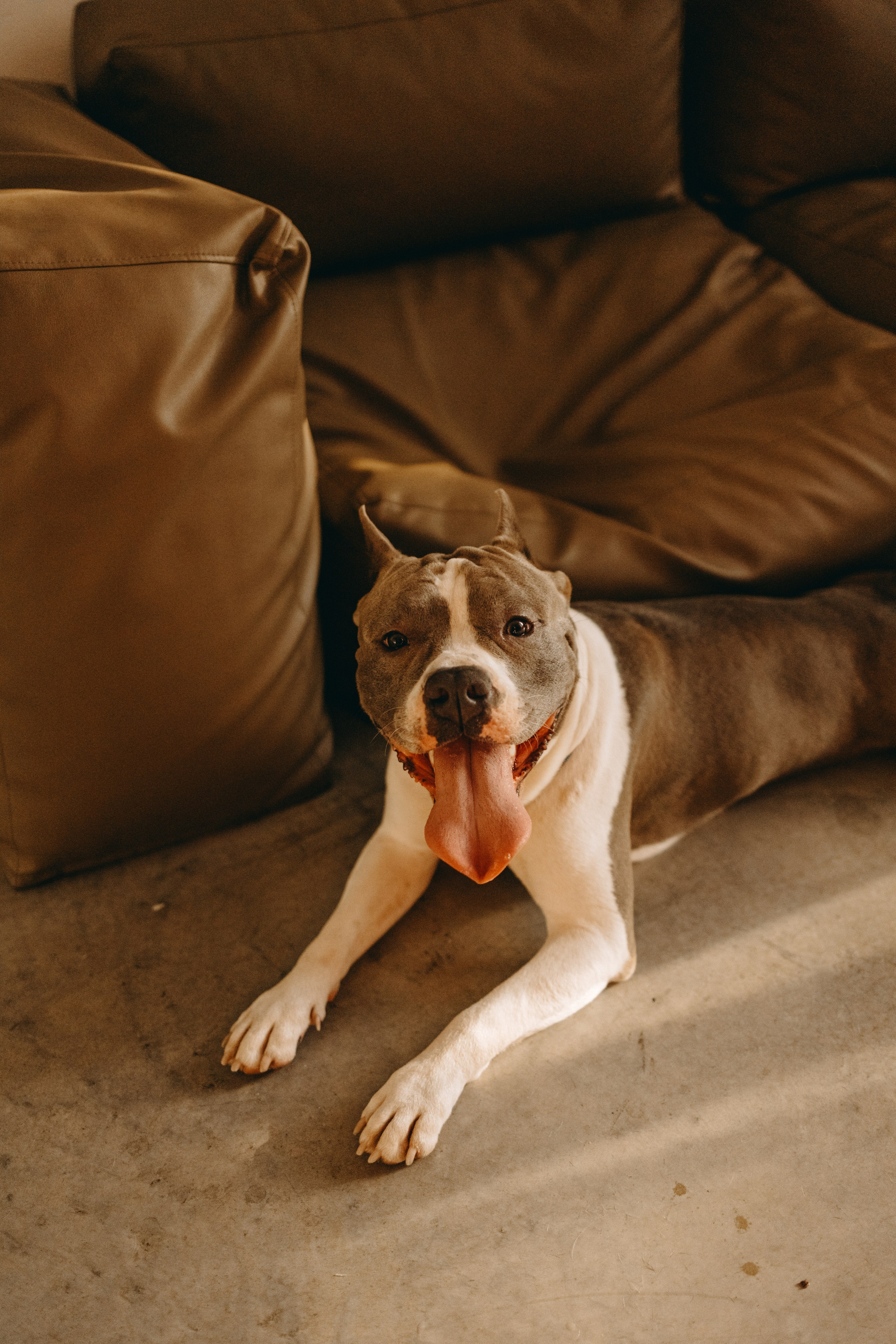 Саша и Кракен. Фотограф — Анималист | Санкт-Петербург