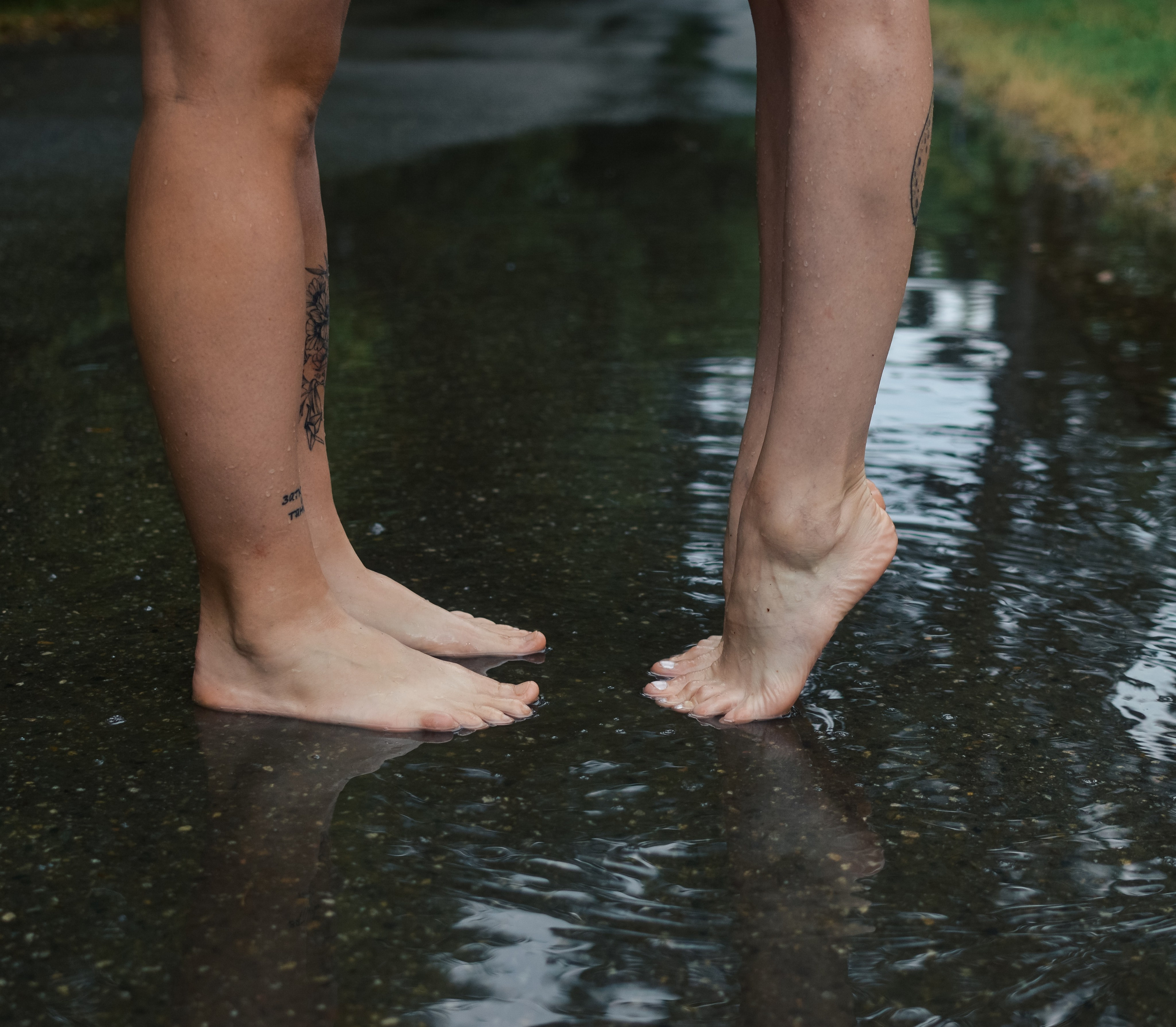 Прогулочная. Meryfotoidea