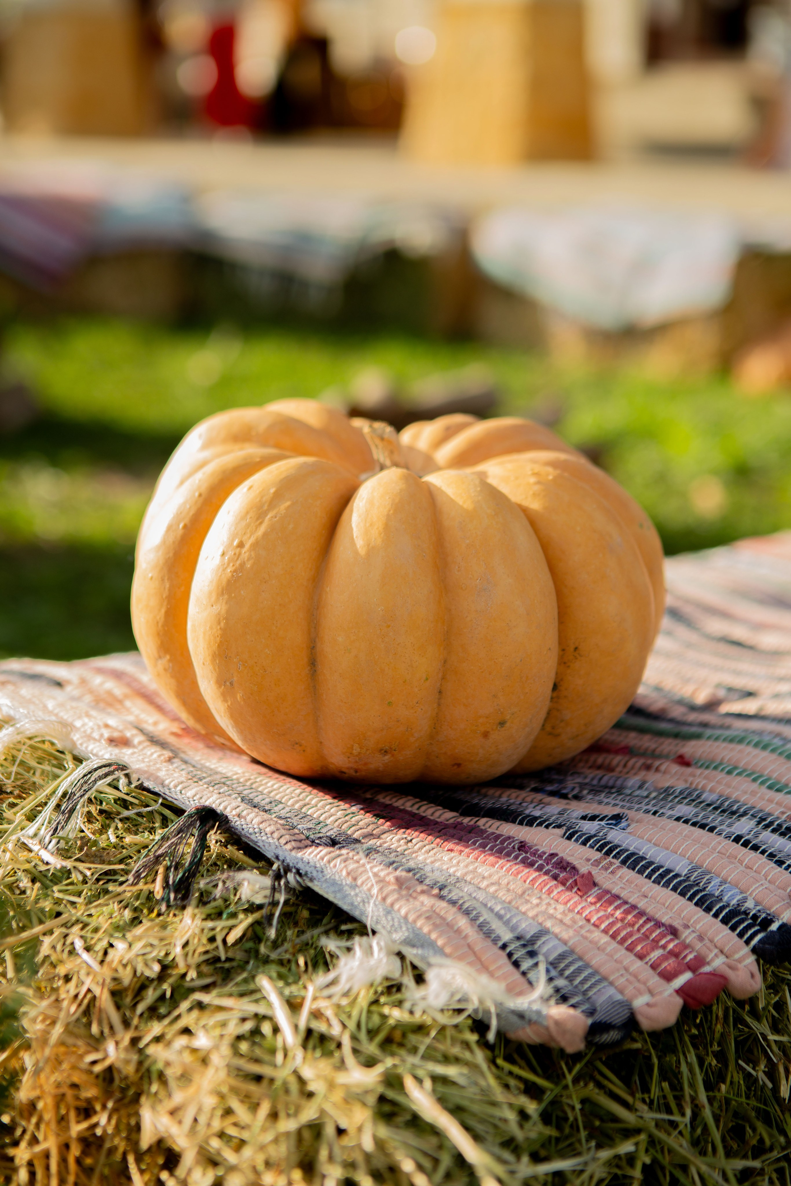 Репортажная съемка. Семейный фотограф в Новопокровской, Тихорецке и Краснодаре Чугусова Марина