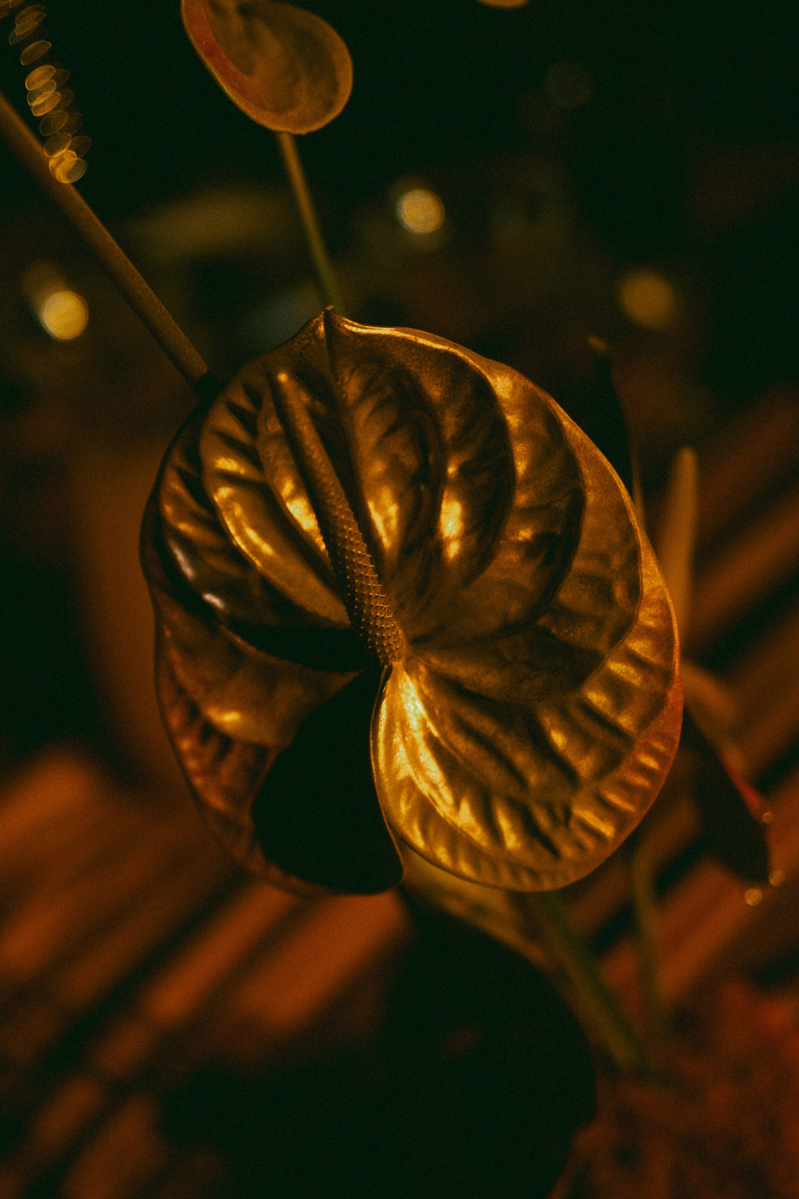 Luv. Свадебный фотограф Максим Яненко в Волгограде