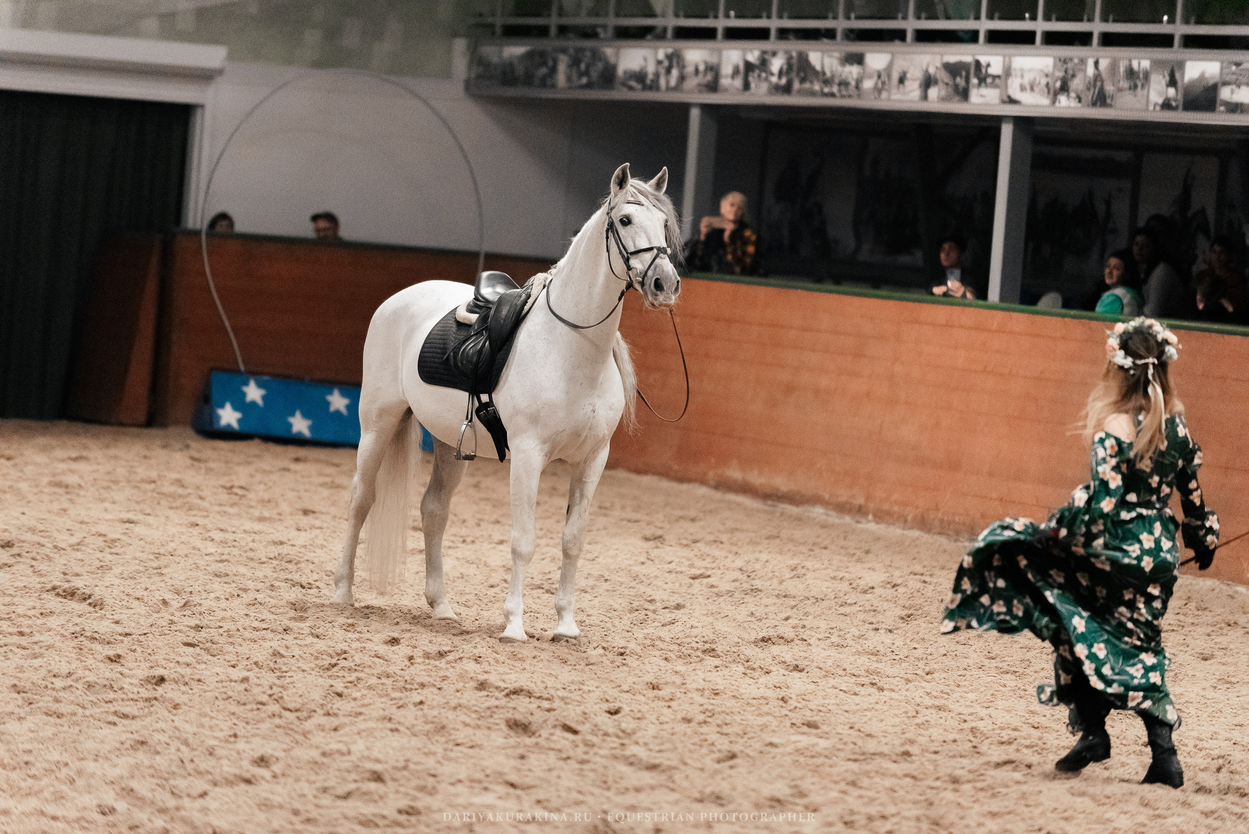 Конное представление «Дыхание Звёзд». Конный фотограф Куракина Дарья • Фотосессии с лошадьми