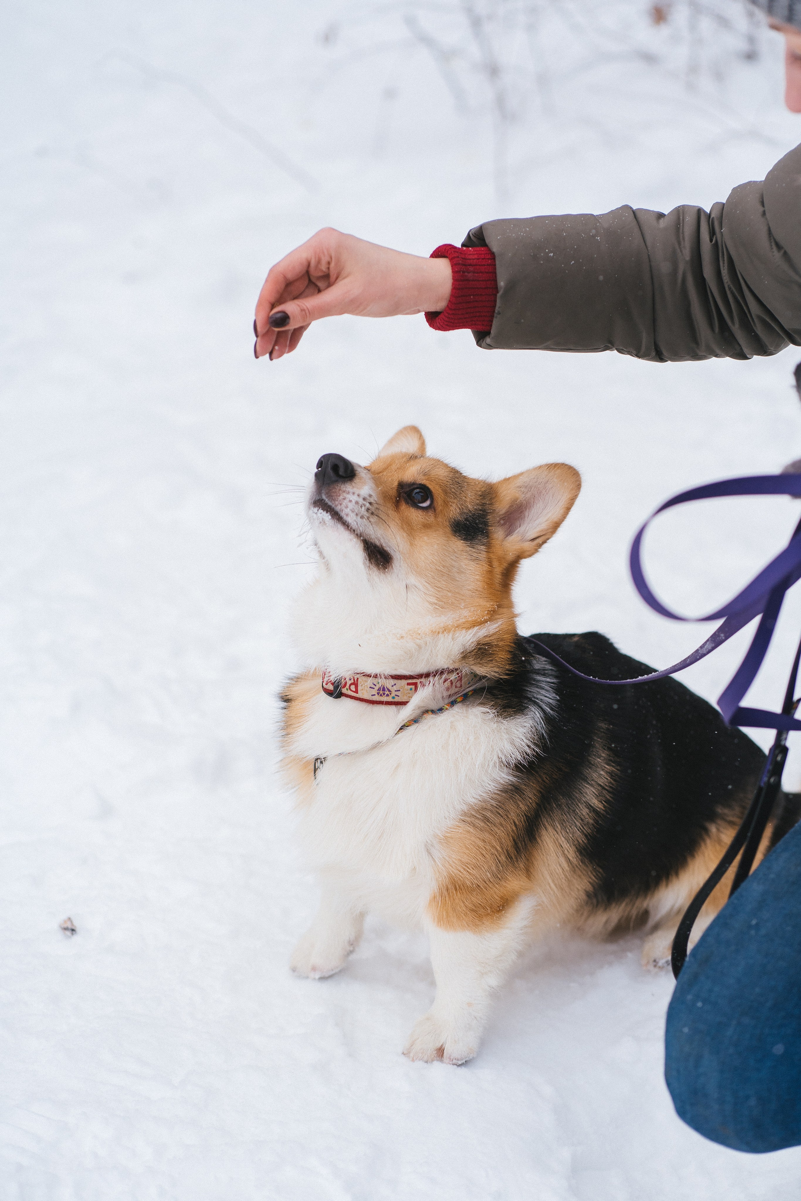 Каспер и Полина. Свадебный фотограф в Москве Анна Полушина