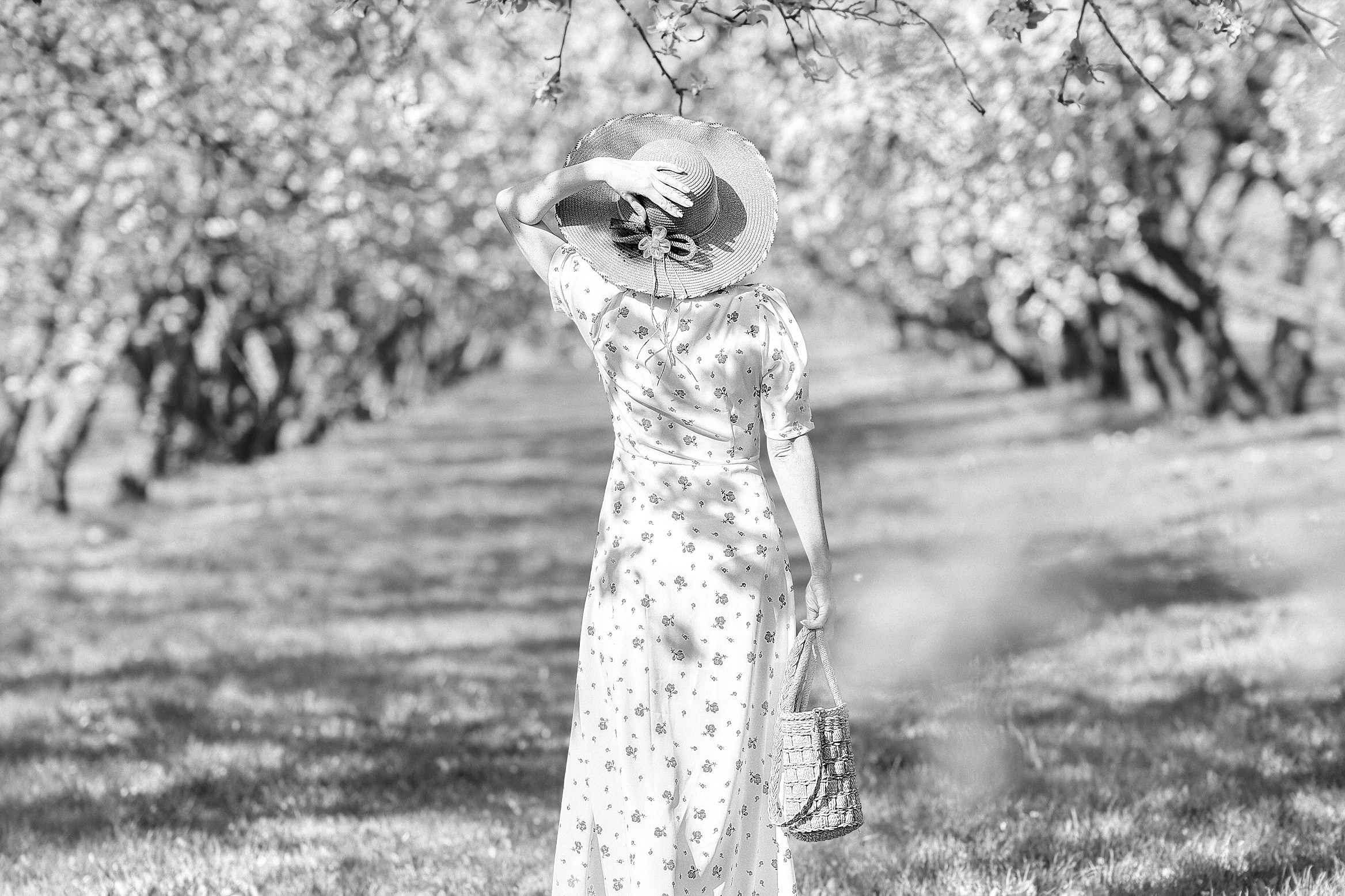 Услуги. Фотограф Евгений Корольков