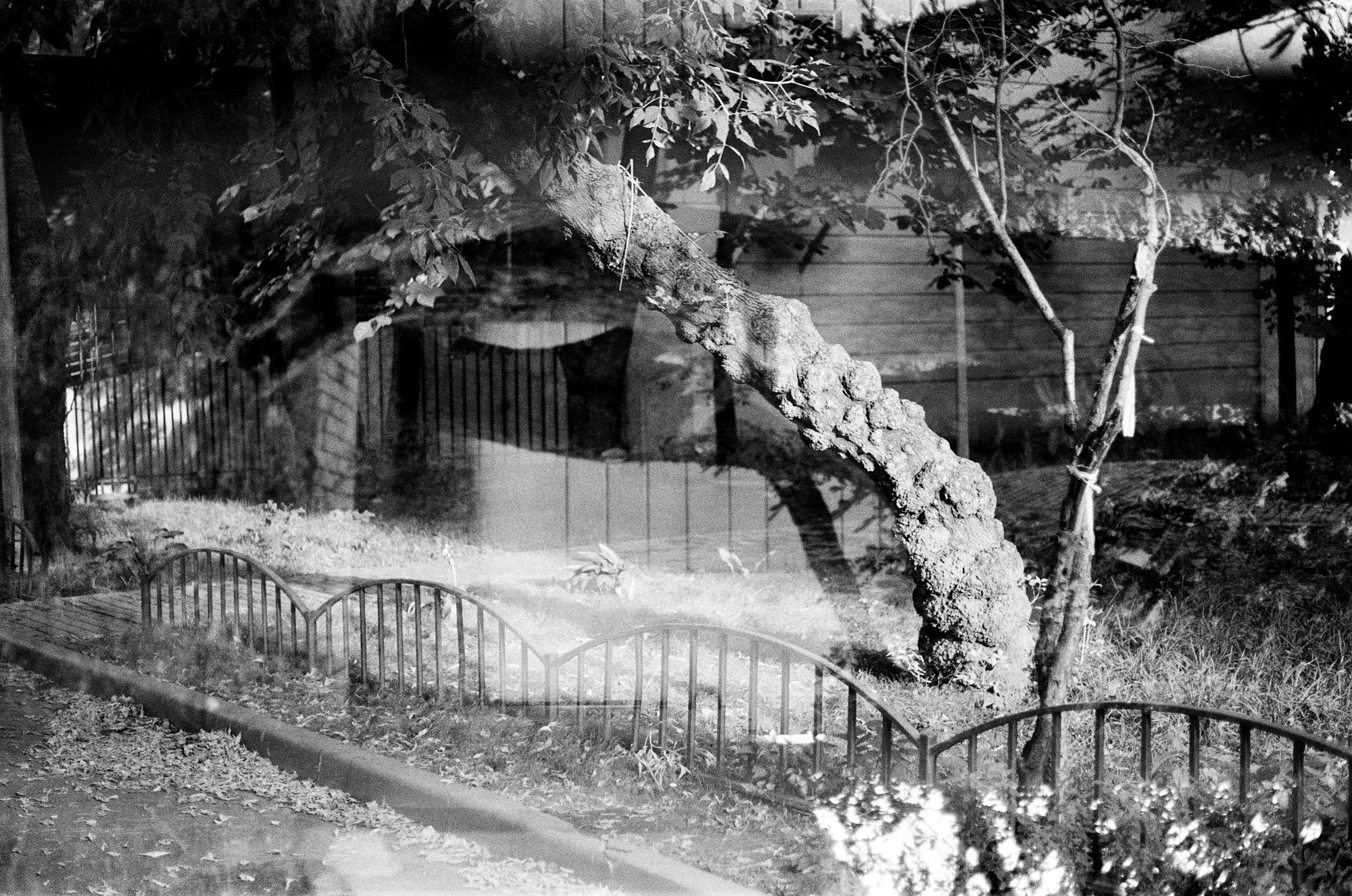 Neskuchny Garden and Ostozhenka