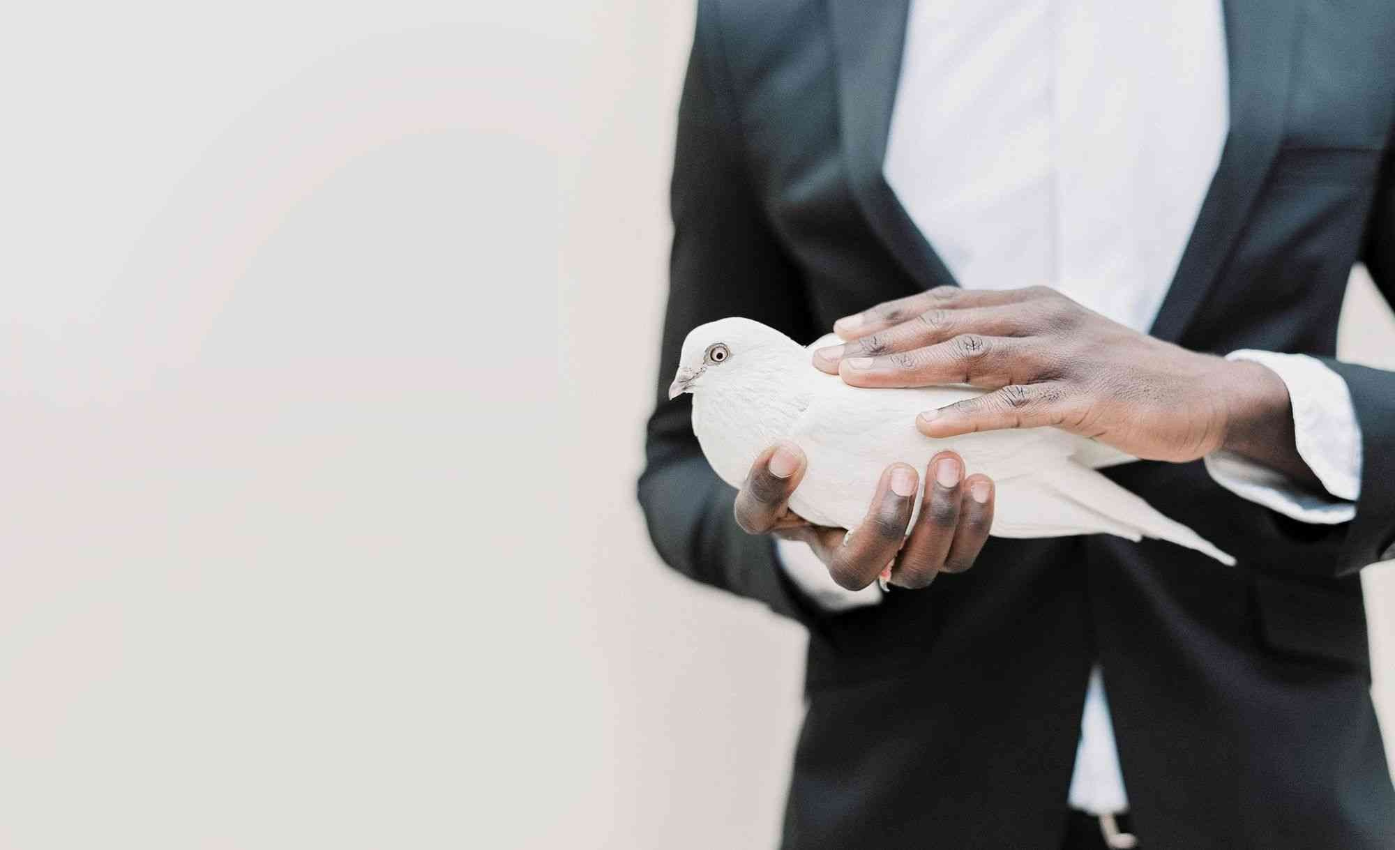 Мастер-классы. Свадебные и портретный фотограф — Кирилл Зорин