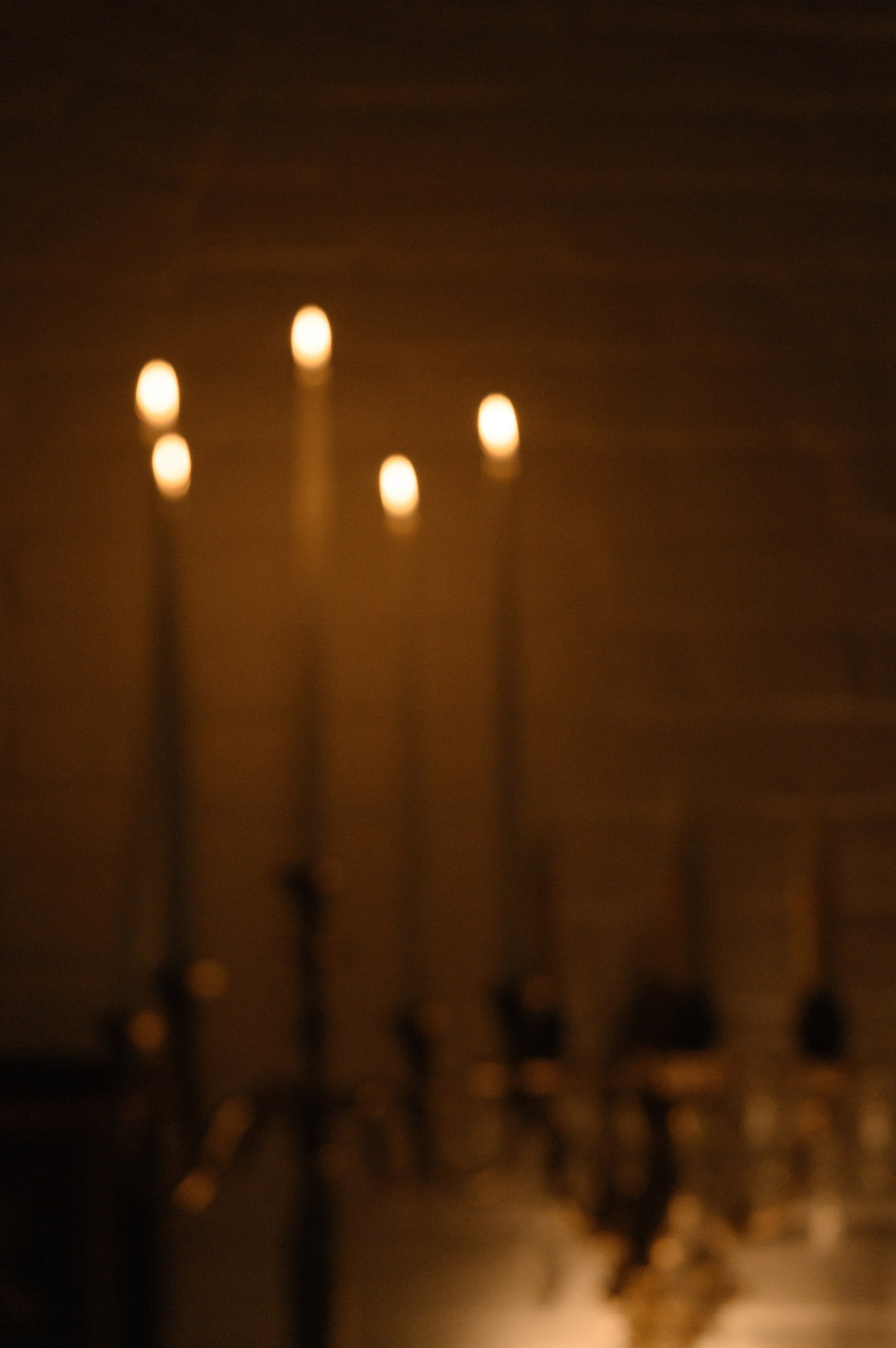 Саша и Лиза. Свадебный фотограф и видеограф