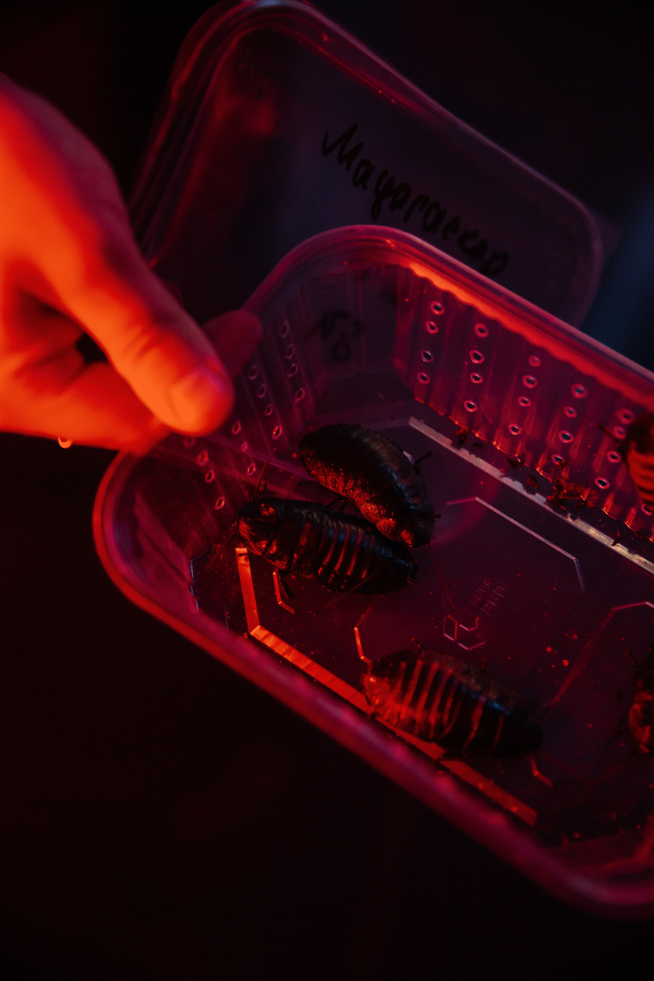 YUNONA & KONSTANTIN. Свадебный фотограф | Екатеринбург | Сочи | Артем Шестаков