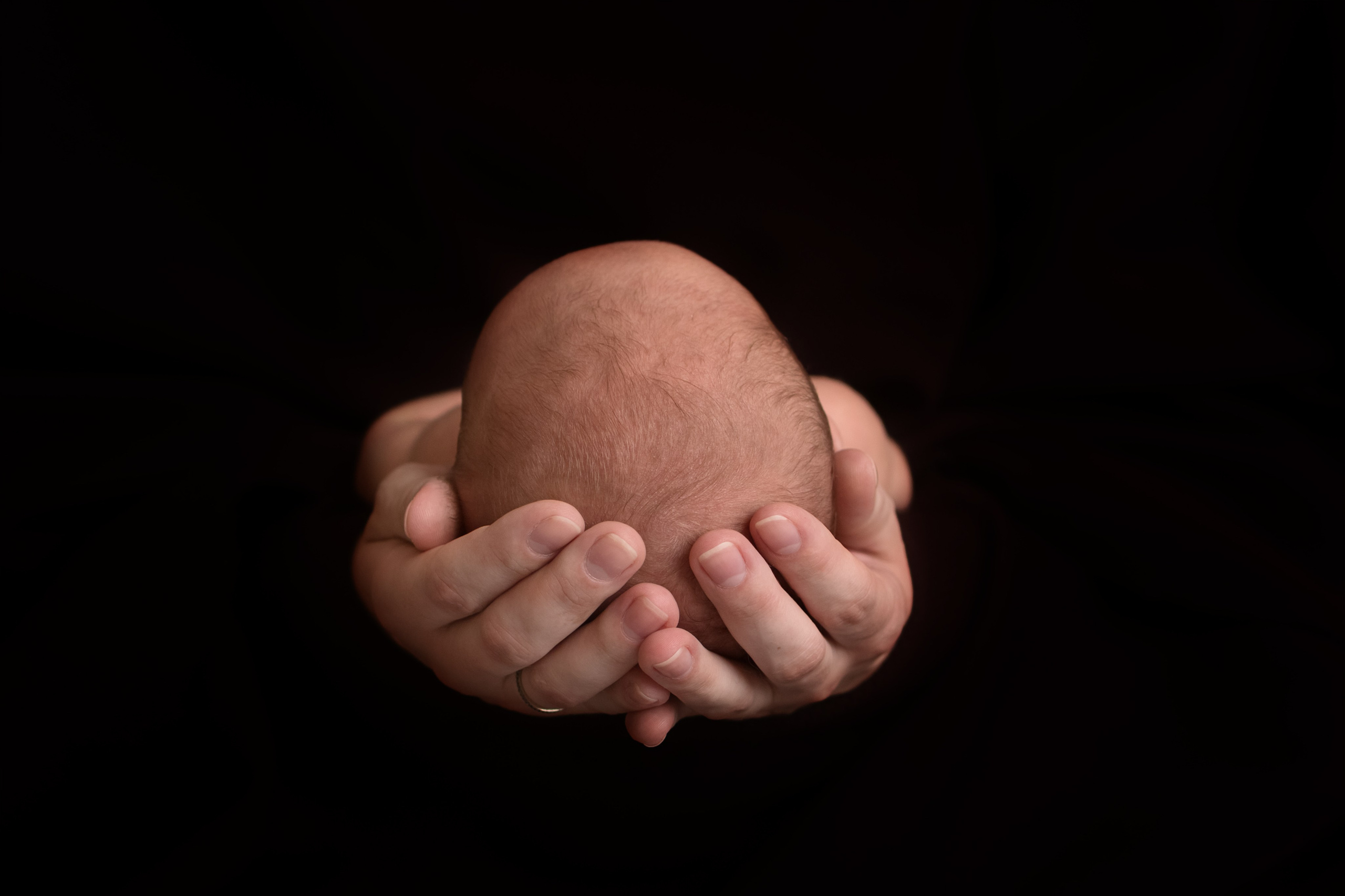 NEWBORN. Le_Dlu Фотограф Елена Длужинская