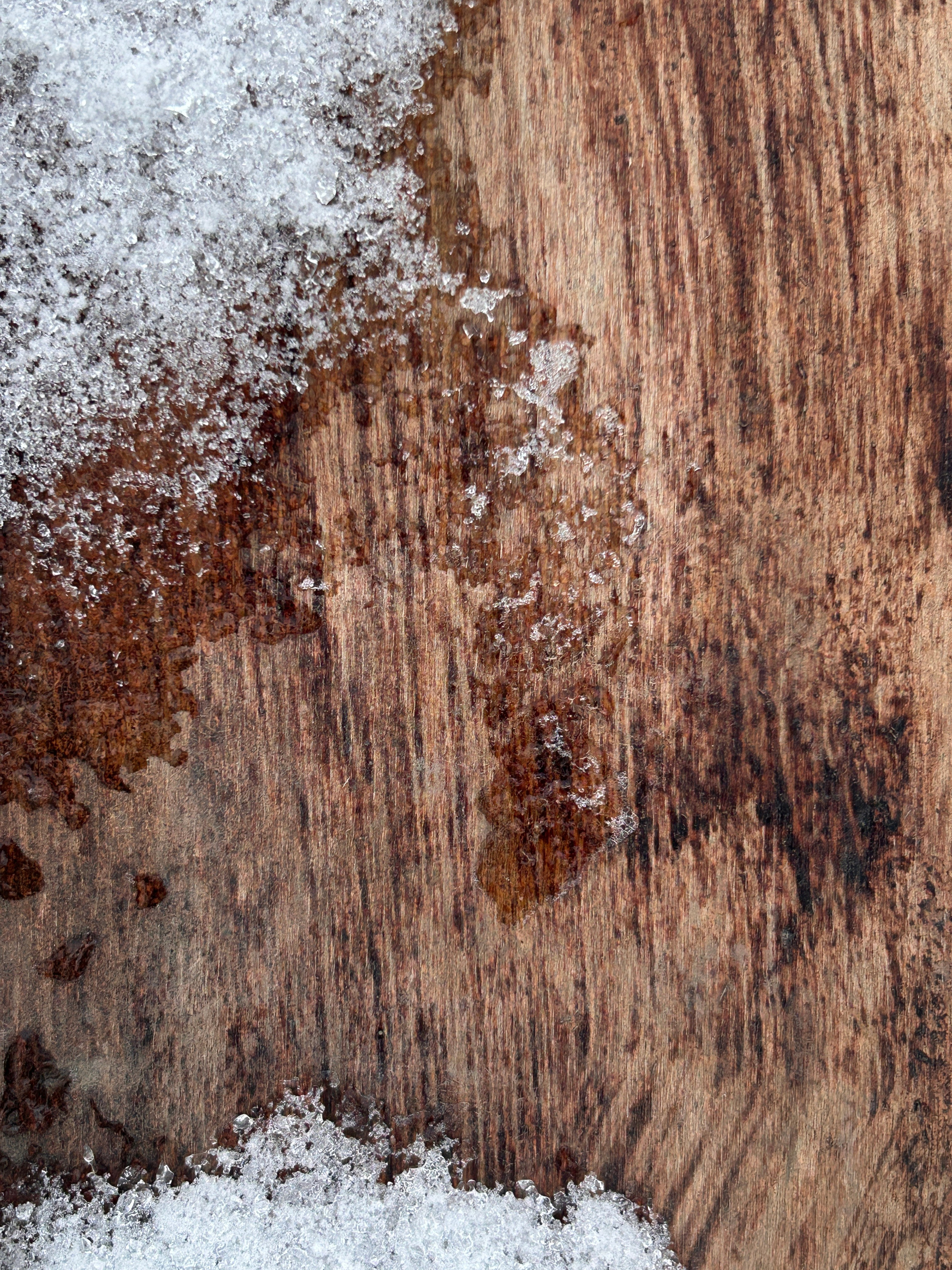 Текстуры. Фотокружок «Видоискатель» ГБОУ СОШ № 291