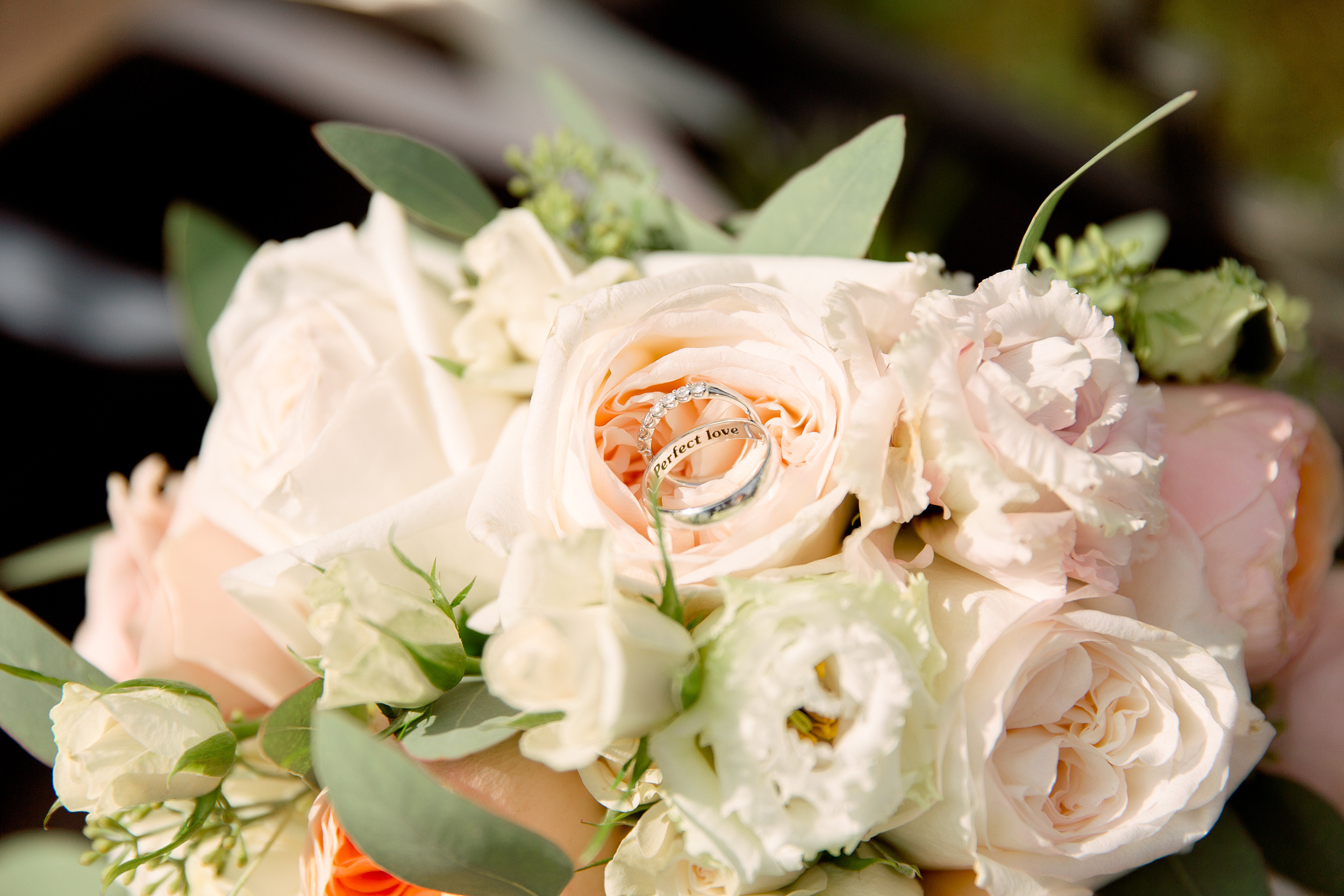 Кристина и Максим. Свадебный фотограф в Санкт-Петербурге Павел Резниченко