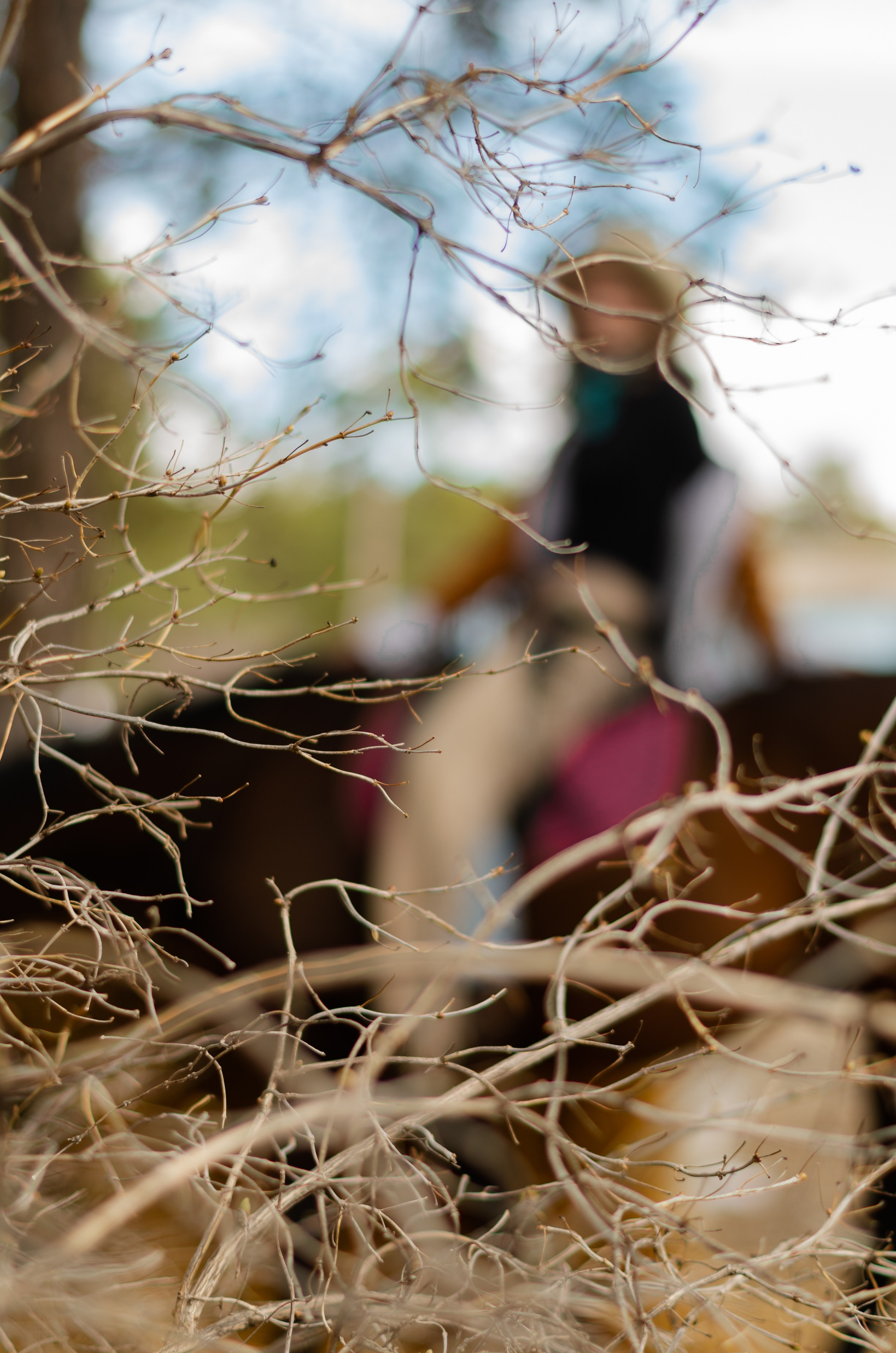 Ковбойская девчонка. Фотограф Марина Доглядная Челябинск фотосессии с лошадьми, мотоциклами