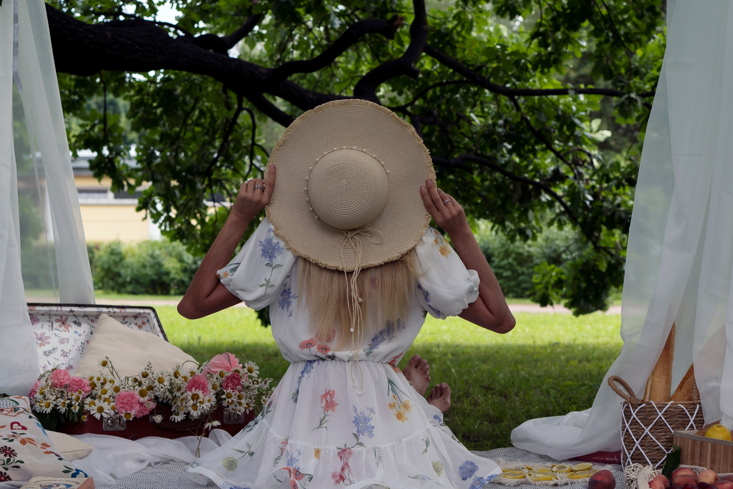 Елизавета. Портрет. Пикник. Главная