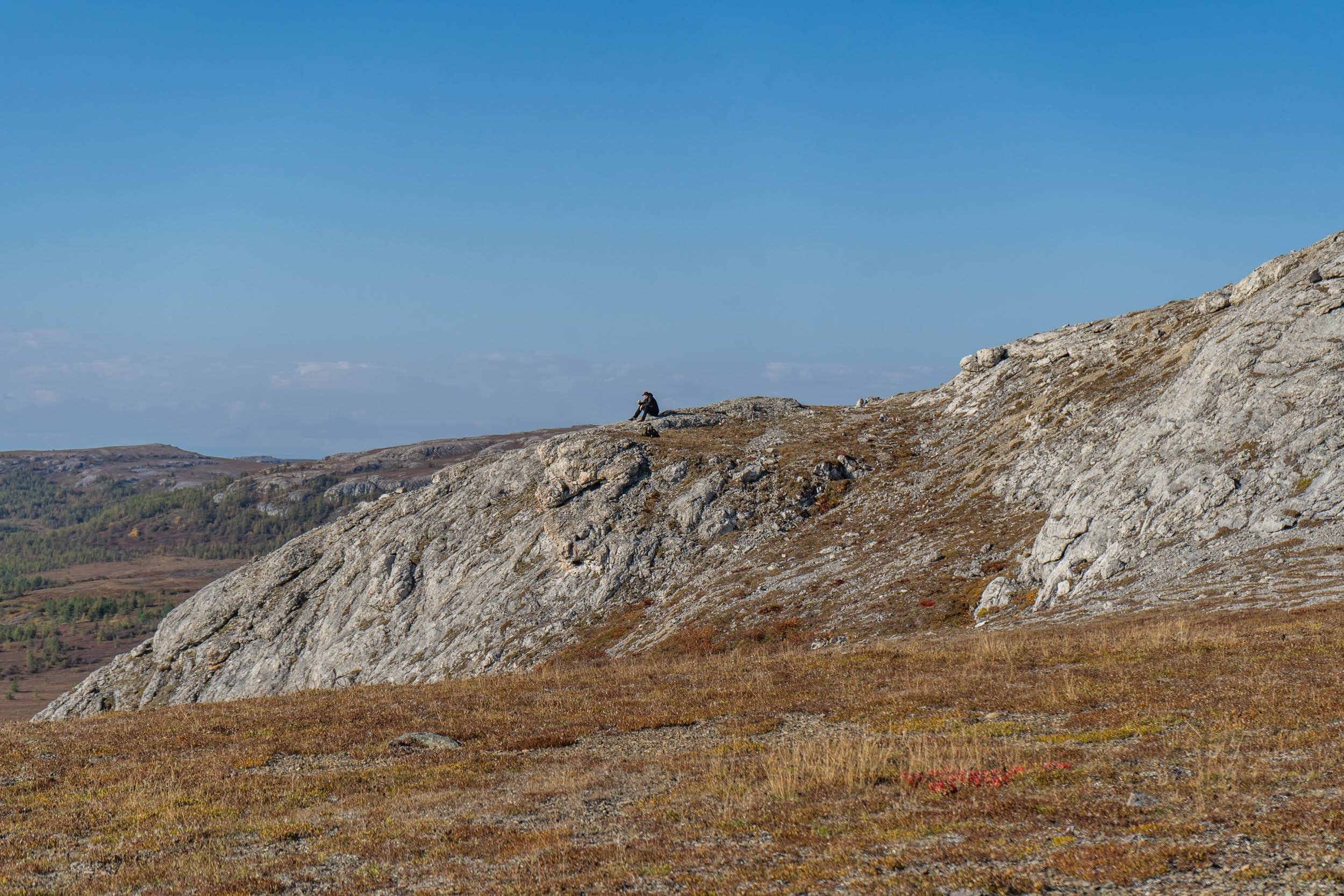 Рифы девонского моря. Фотограф Екатерина Зорина