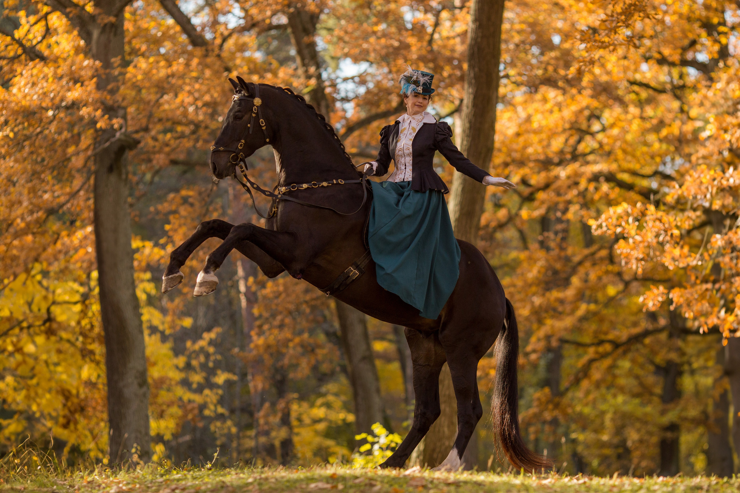 Фотосессия с лошадью в историческом стиле