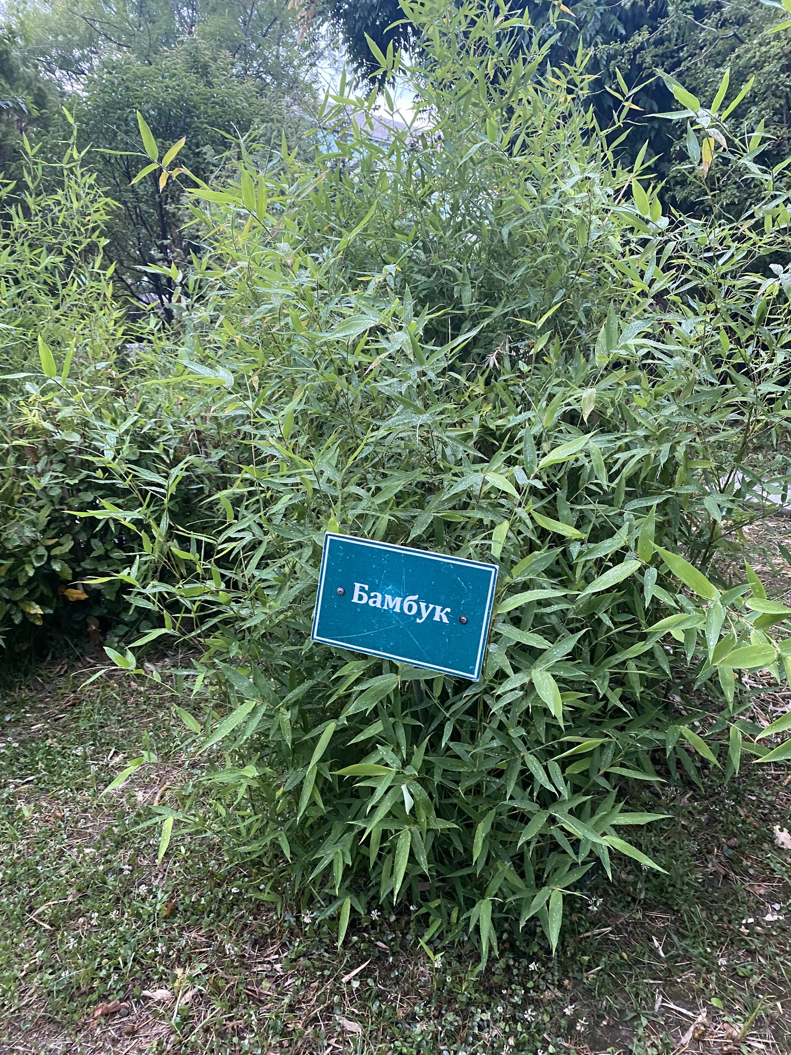 Тренинг лагерь. Галерея ПрофАС