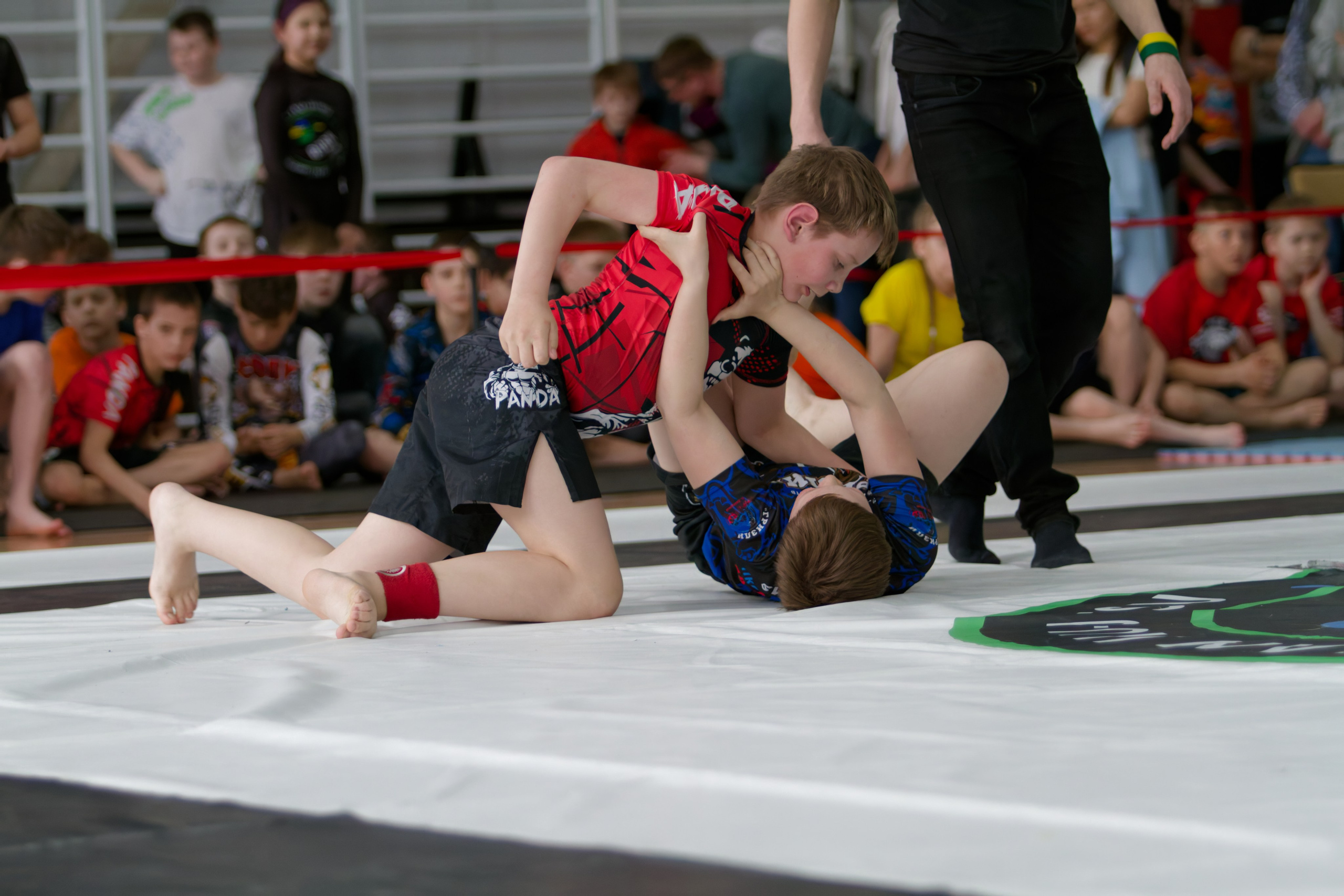 Борьба. Джиу-джитсу 26.04.2025. Репортажный и спортивный фотограф в г. Пермь Зильберг Павел