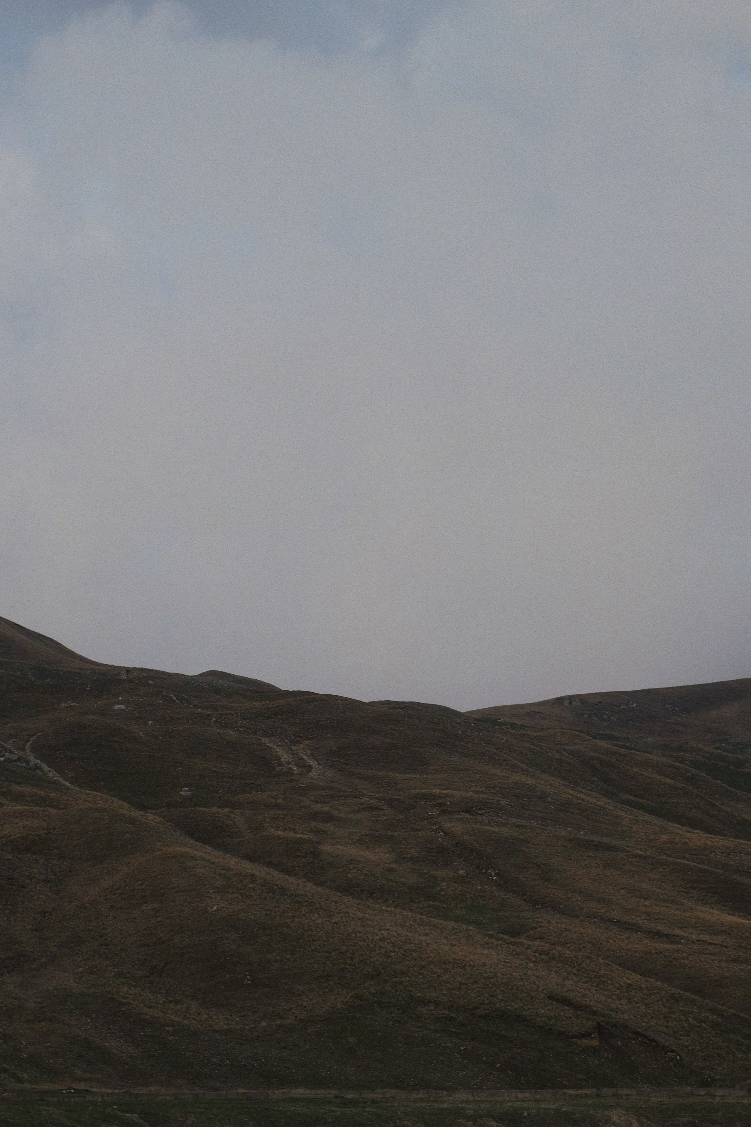 Кисловодск. Татьян гертье