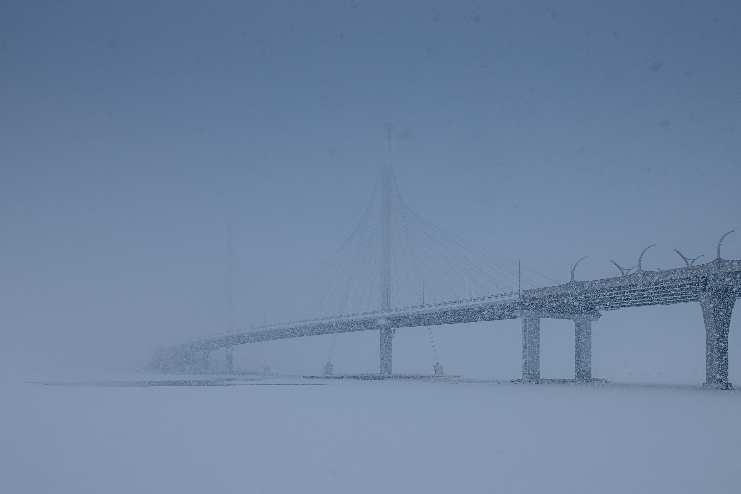 Вантовый мост у Газпром Арены. Фотограф | Данил Шукан | Санкт-Петербург
