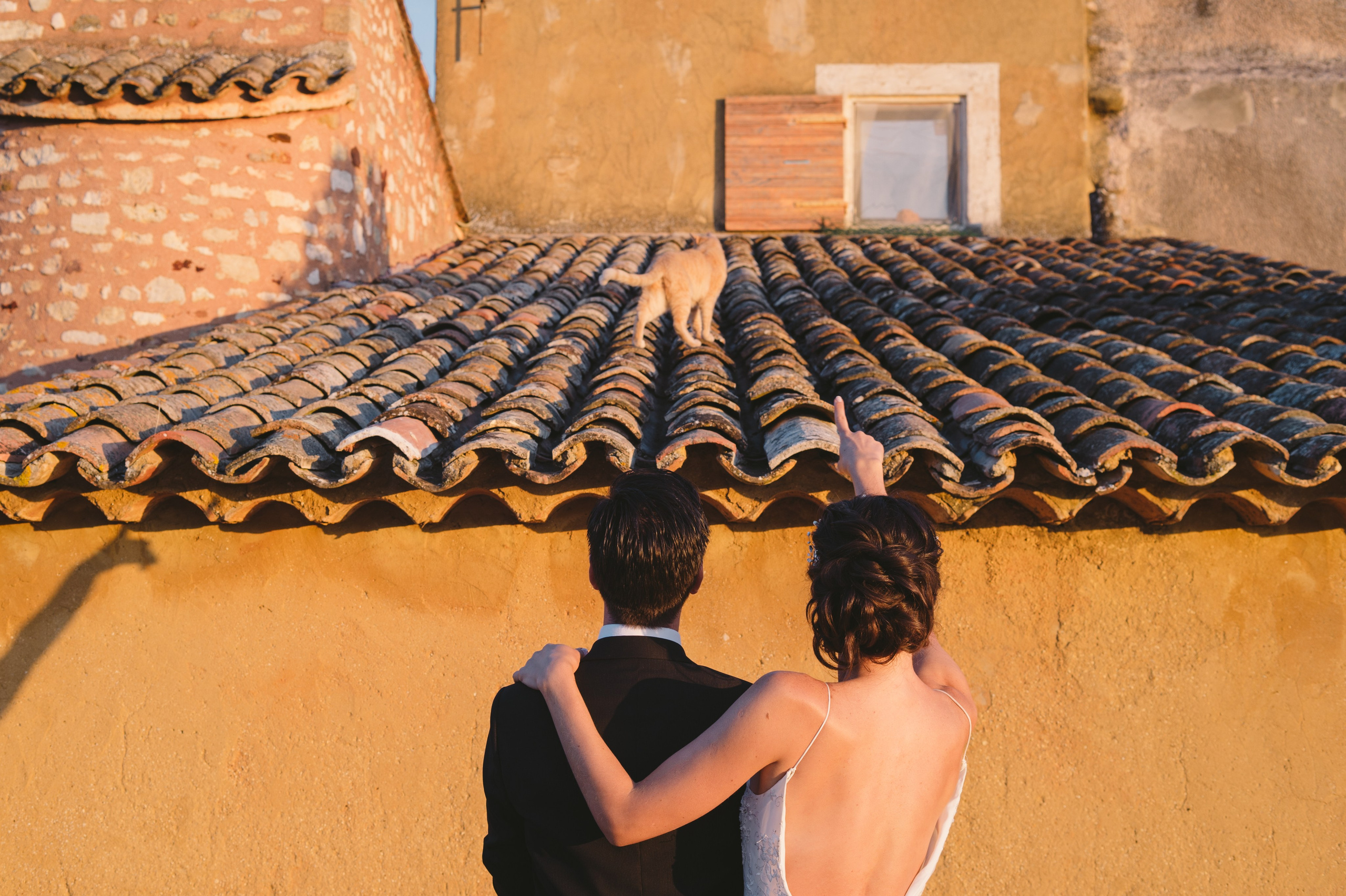 Настя и Марко (Provence). Свадебный фотограф в Ростове-на-Дону Владимир Пешков