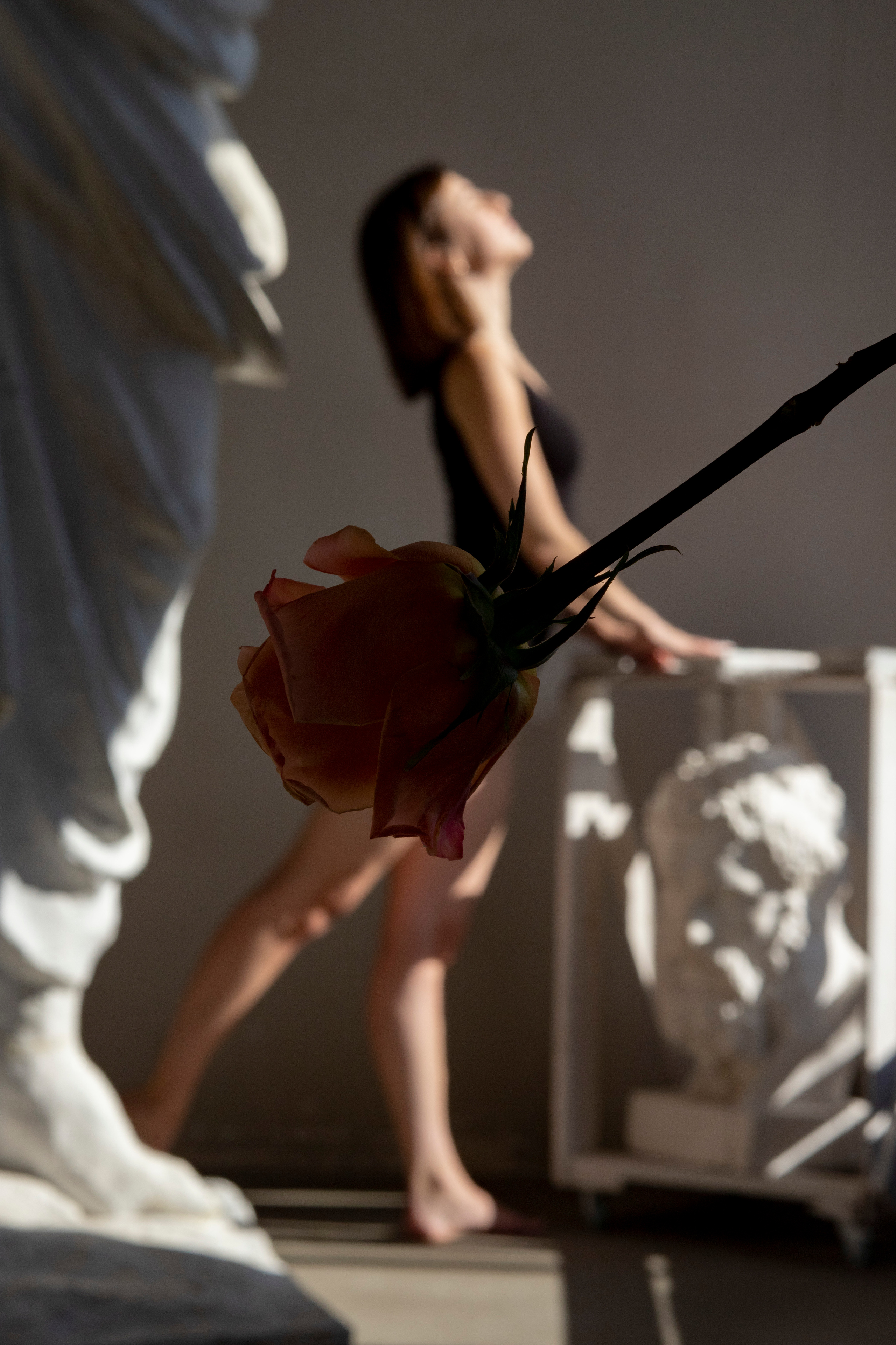 В мастерской. Семейный фотограф в Санкт-Петербурге Миронова Ксения