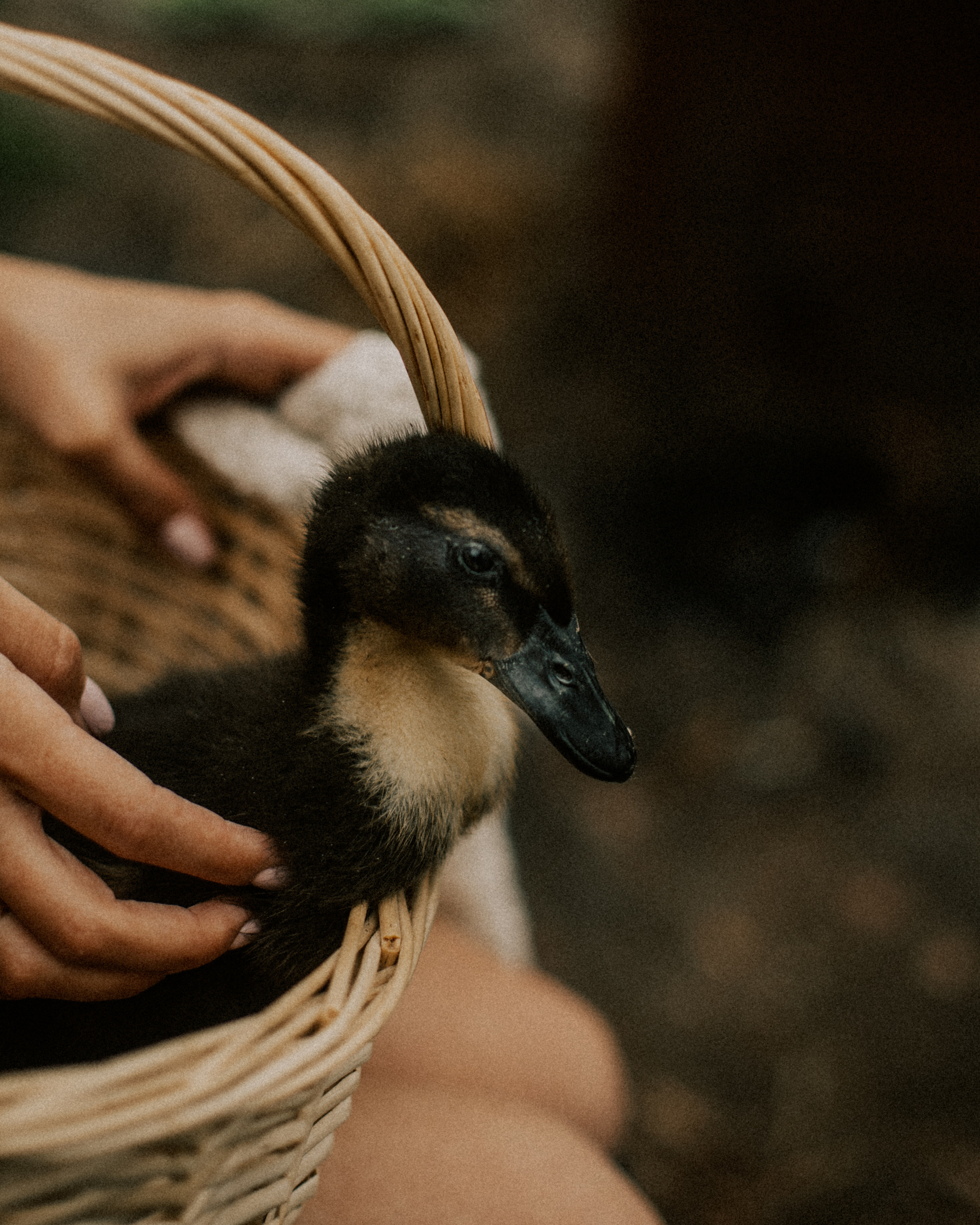 Юля в деревне. ФОТОГРАФ Екатеринбург Москва Анастасия Замесина