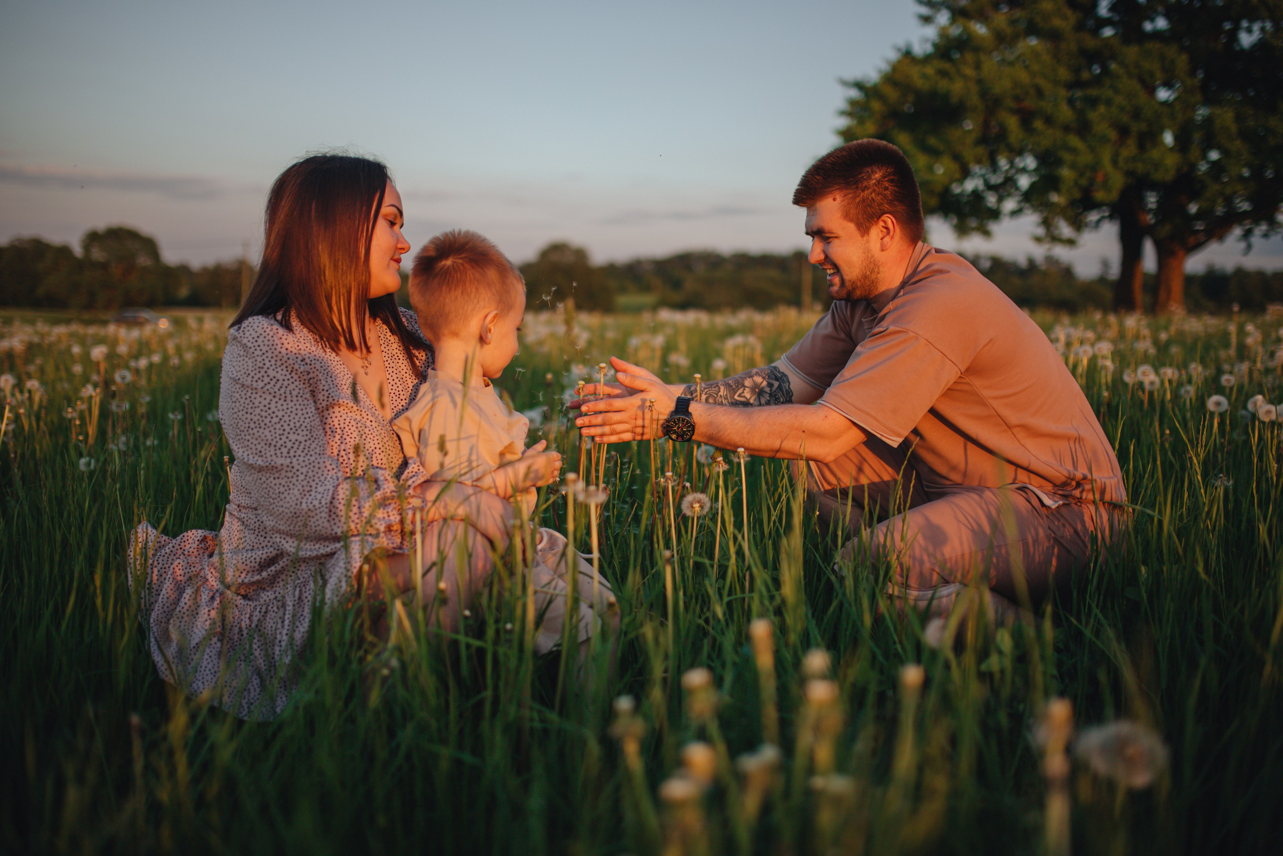 В поле на закате. Фотограф Винокурова Кристина в Санкт-Петербурге