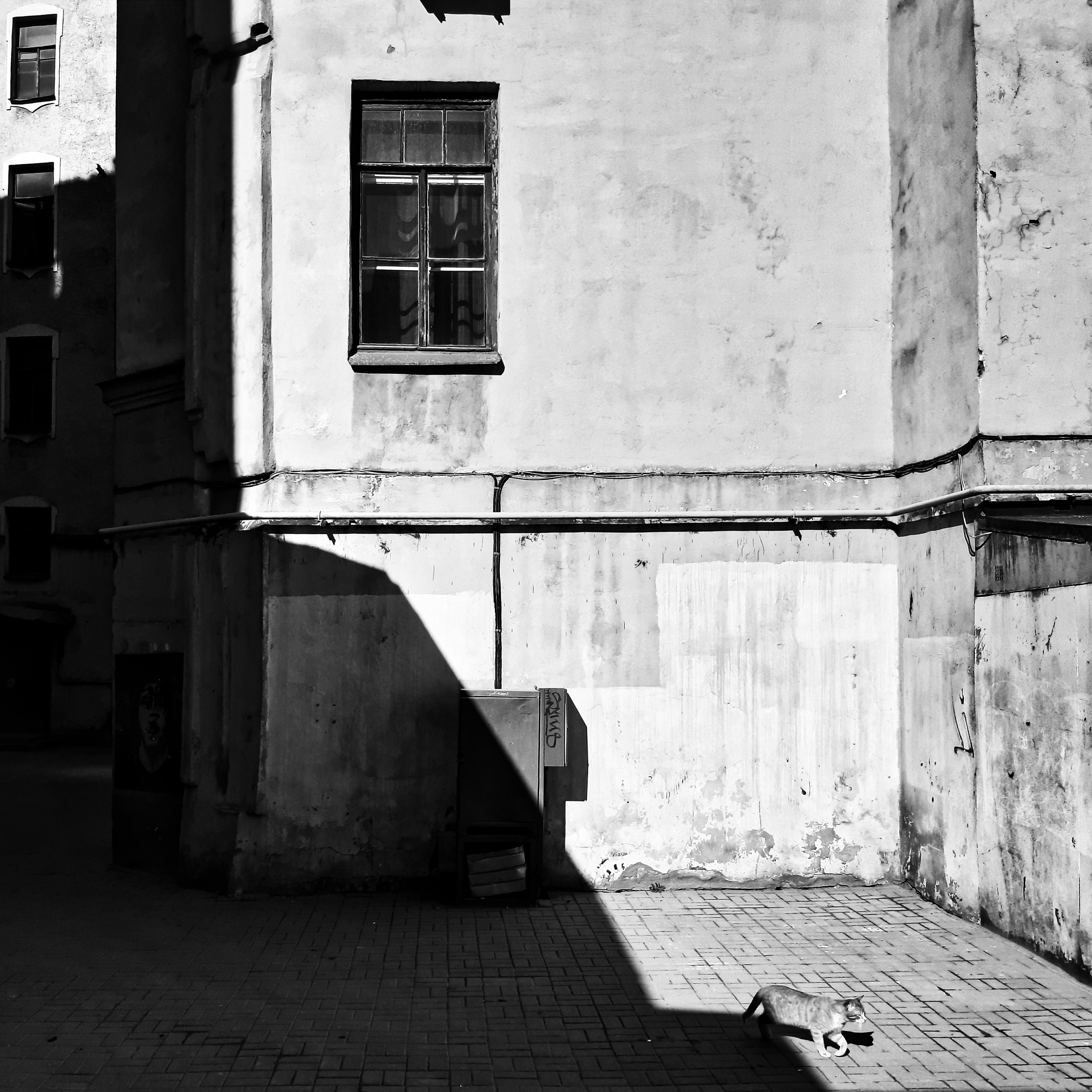 Bardo. Роман Ходырев — художник, фотограф, музыкант, эзотериолог. Санкт-Петербург, Рига