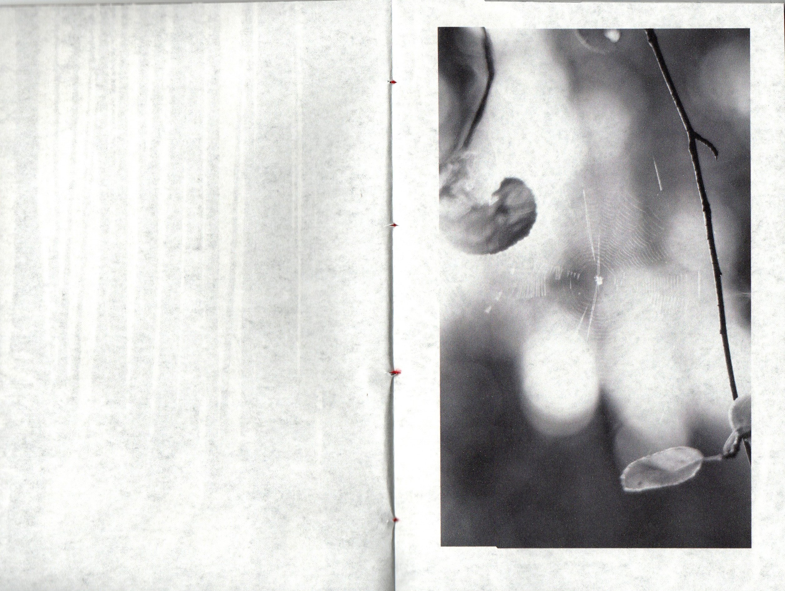 Любители ягодных пирогов. Фотограф Анна Кирнос