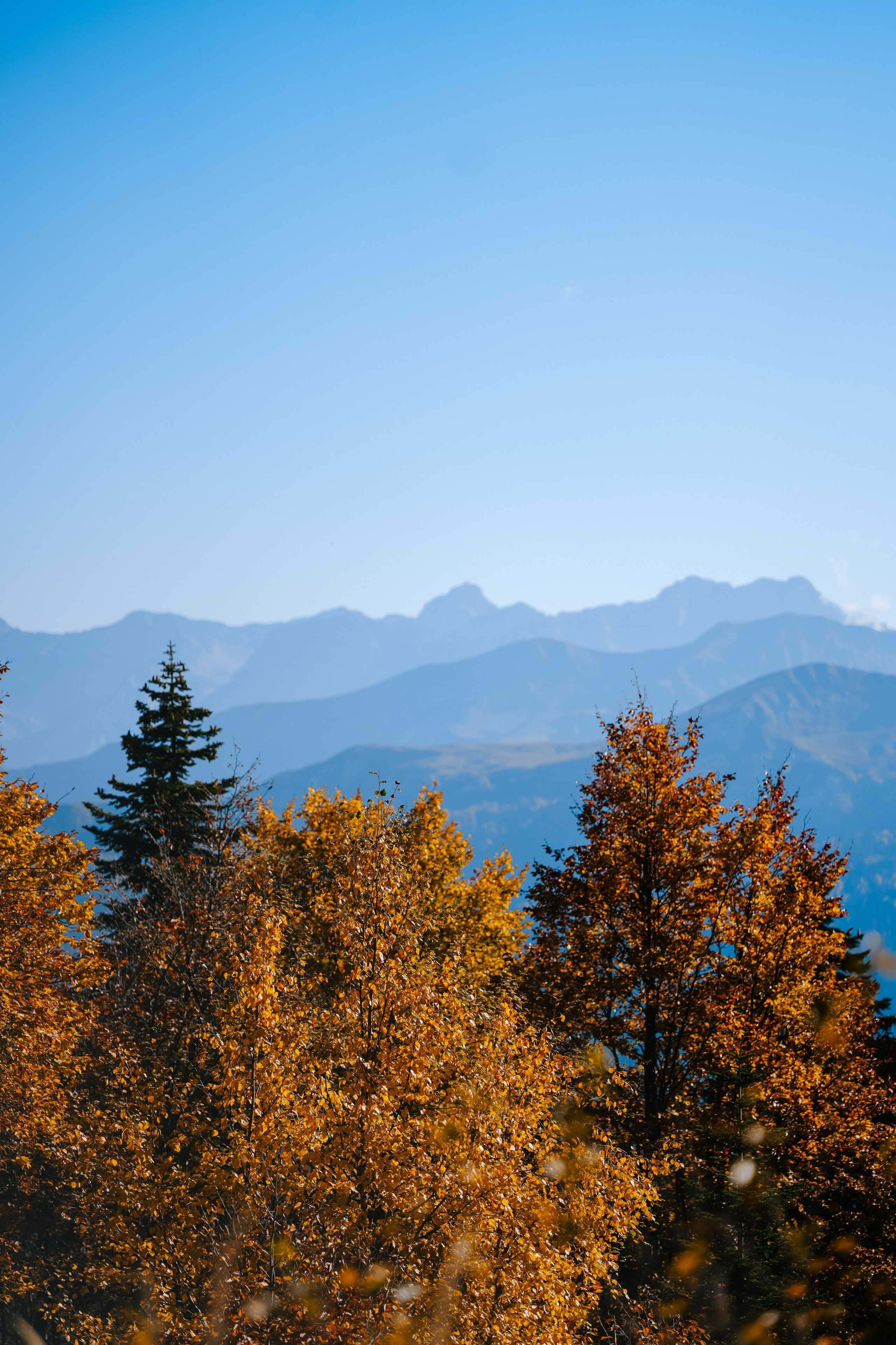 Роза Пик, тропа Турья ✽ Октябрь. Репортажный фотограф | Роза Хутор Красная Поляна Сочи Сириус