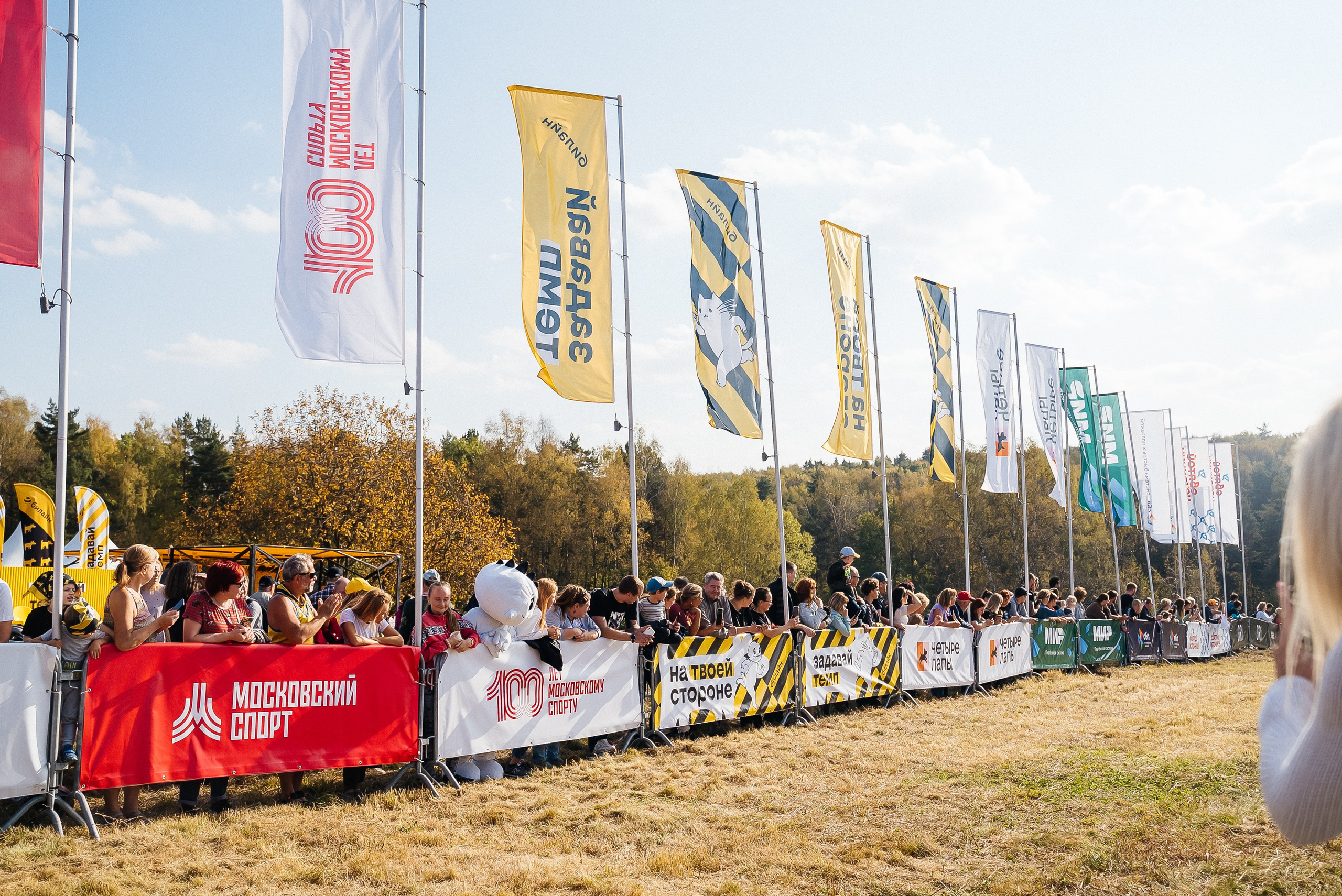 Билайн. Павел Краснов — Свадебный и репортажный фотограф в Москве