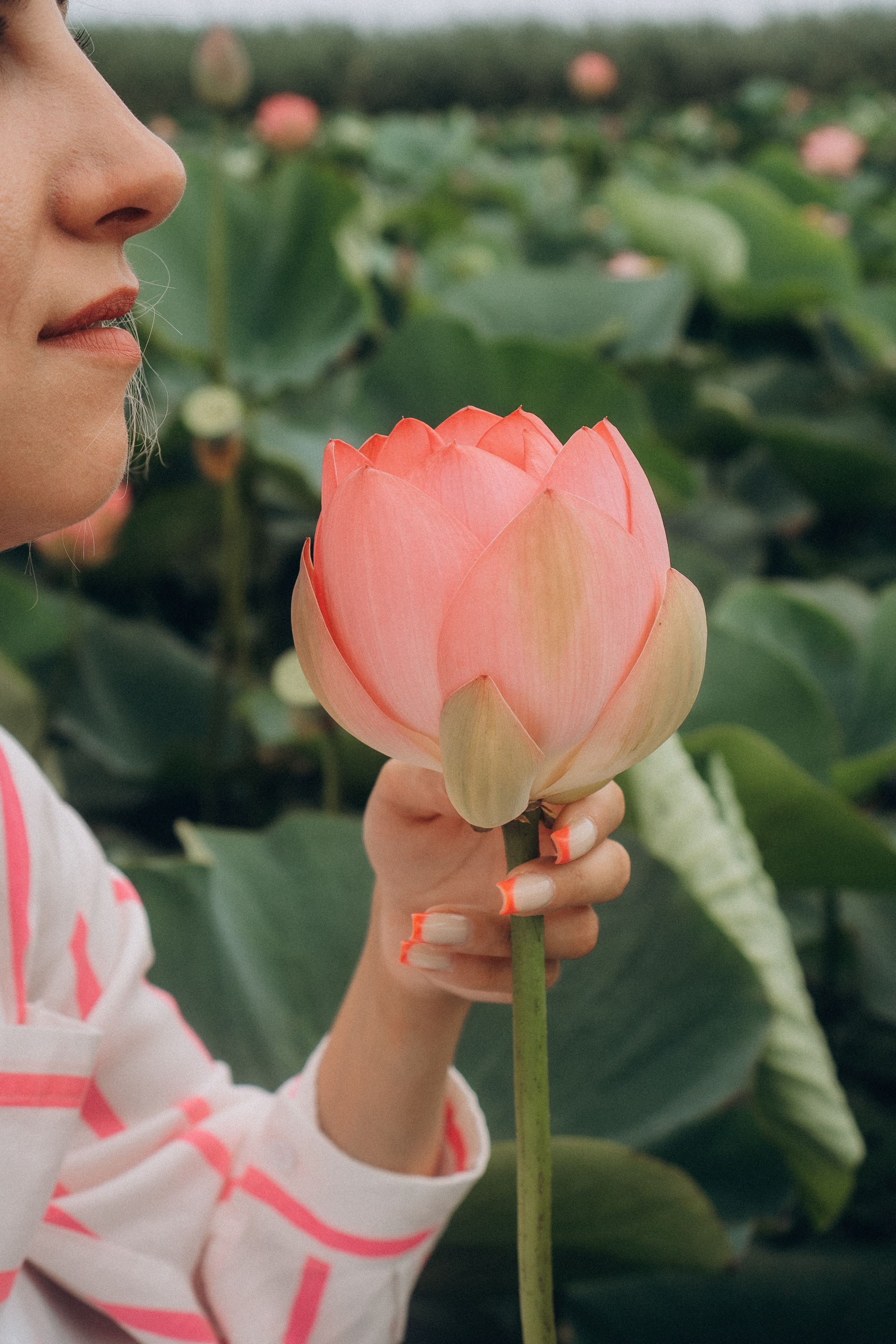ЛОТОСОВАЯ ПОЛЯНА. Профессиональный фотограф, Санкт-Петербург — Виктория Богомолова