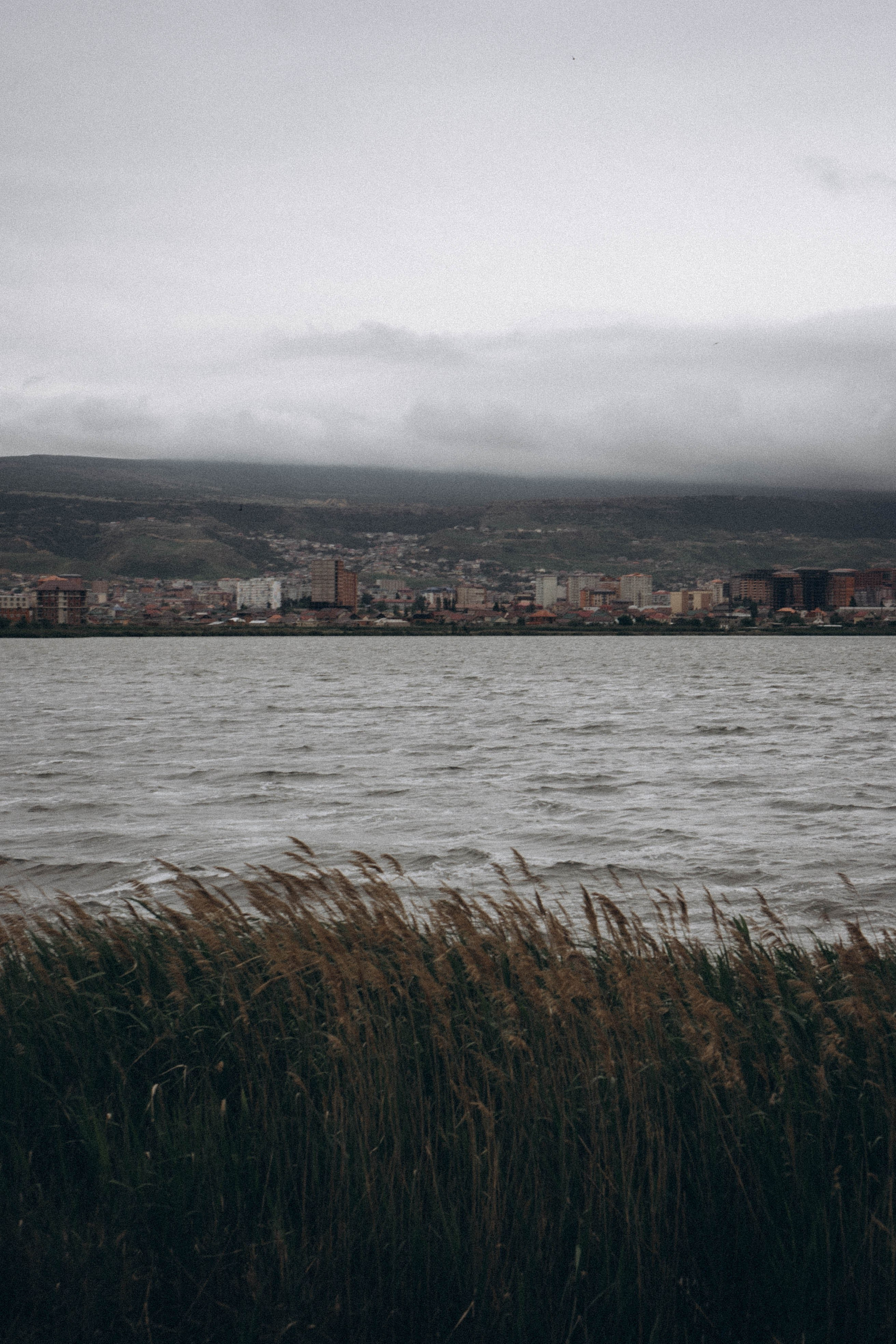 Кавказ. Профессиональный фотограф, Санкт-Петербург — Виктория Богомолова