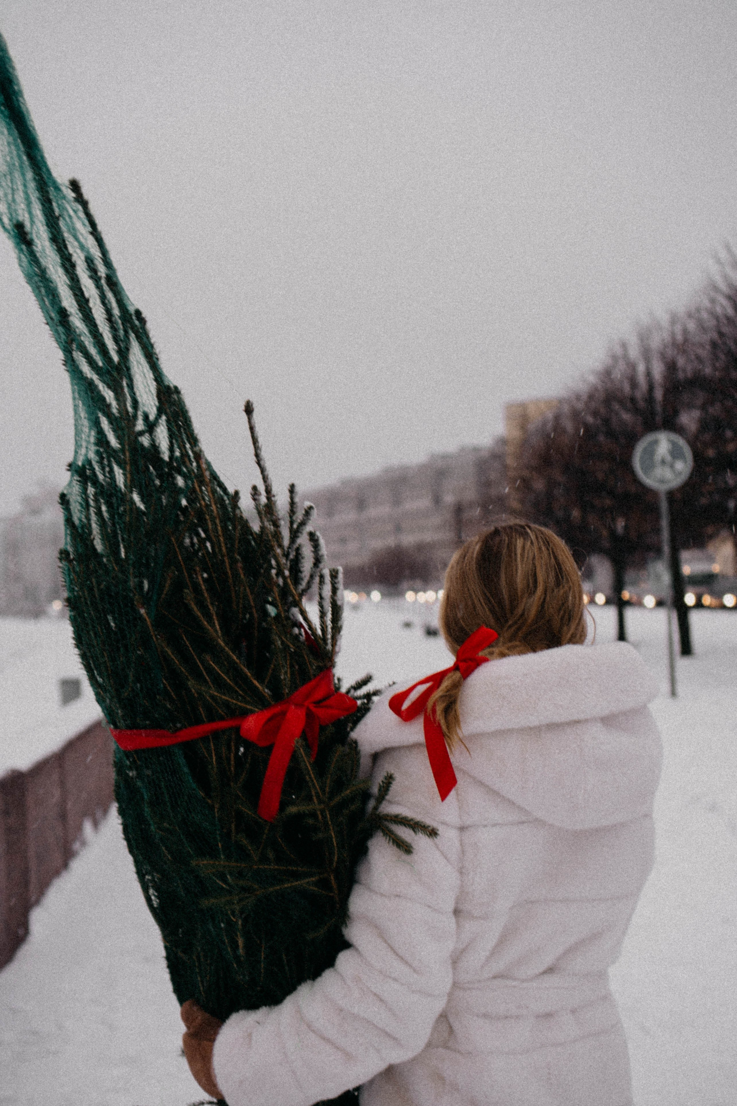 Новогодняя. Профессиональный фотограф, Санкт-Петербург — Виктория Богомолова