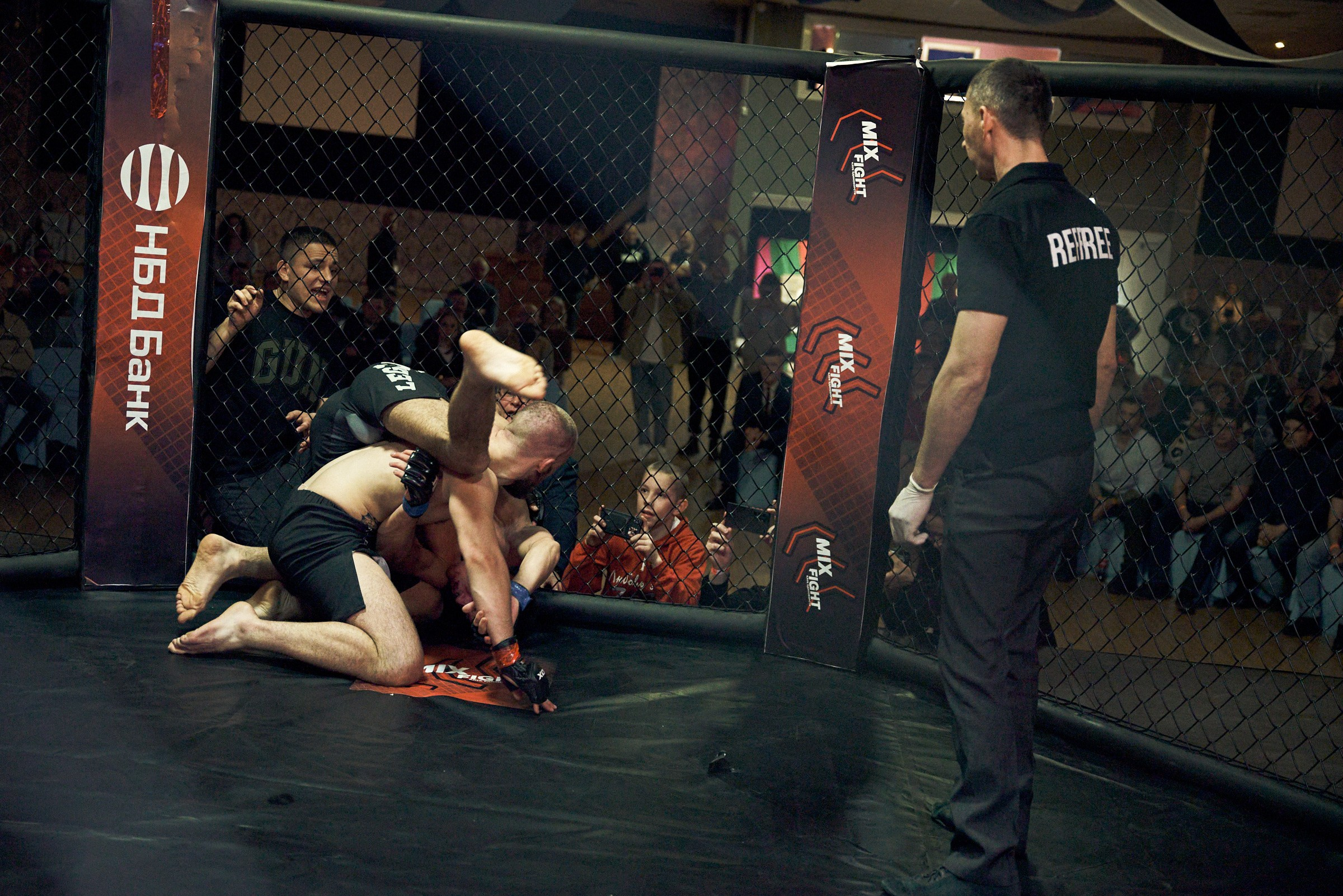 Бои. Маляревич Дмитрий свадебный фотограф