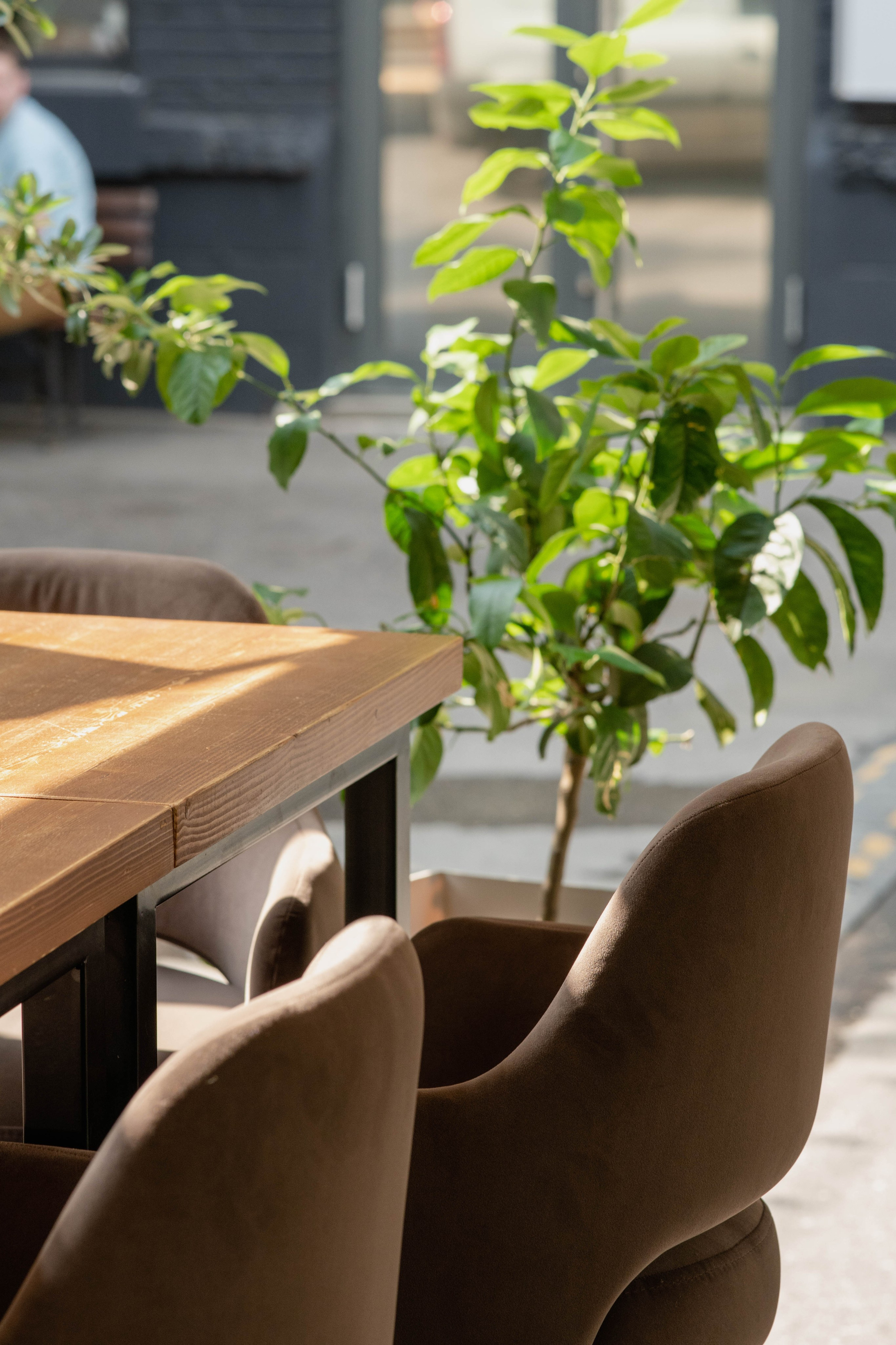 +39 Restaurants Italian. Innesapezzolini.ru