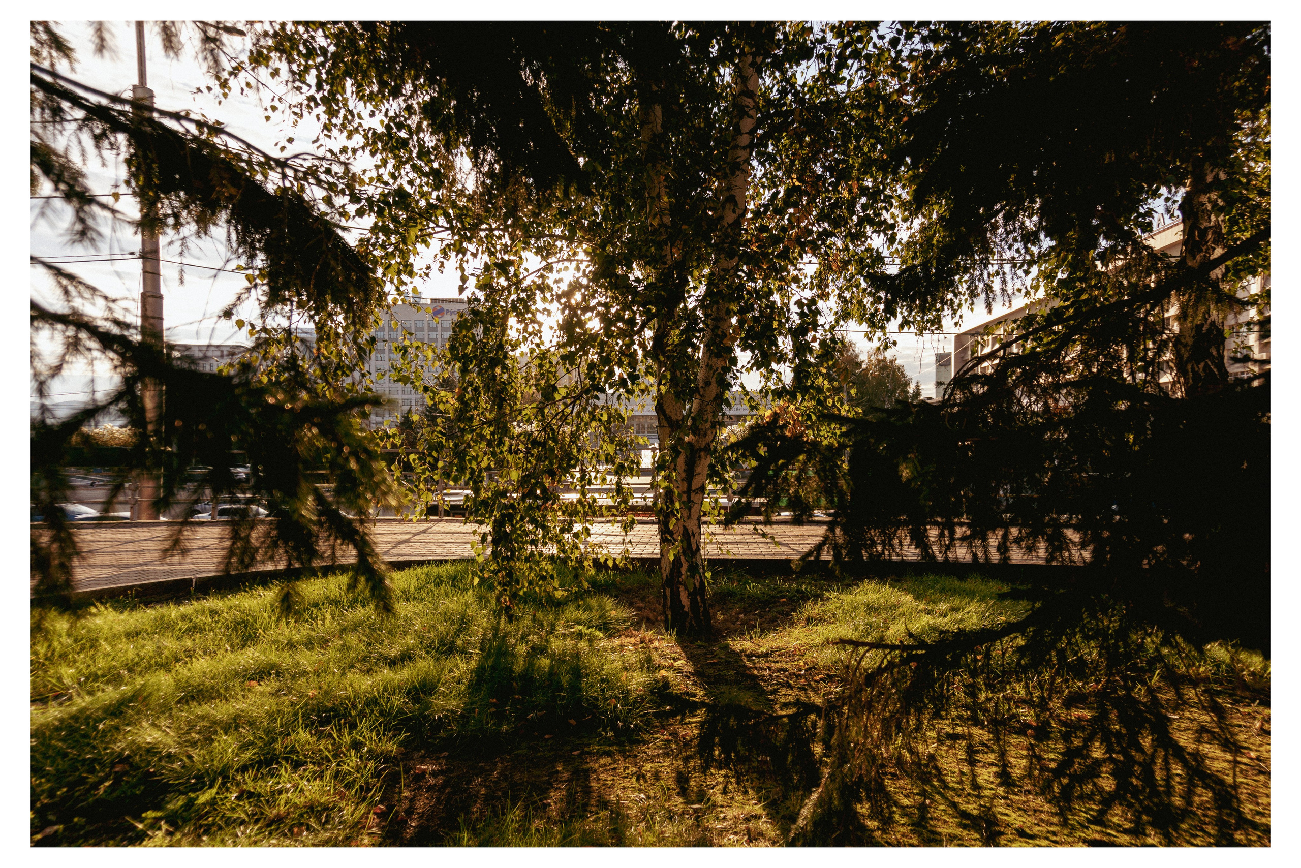 21.09.2025 | Красноярск. Kuznetsov | Фотограф в Красноярске