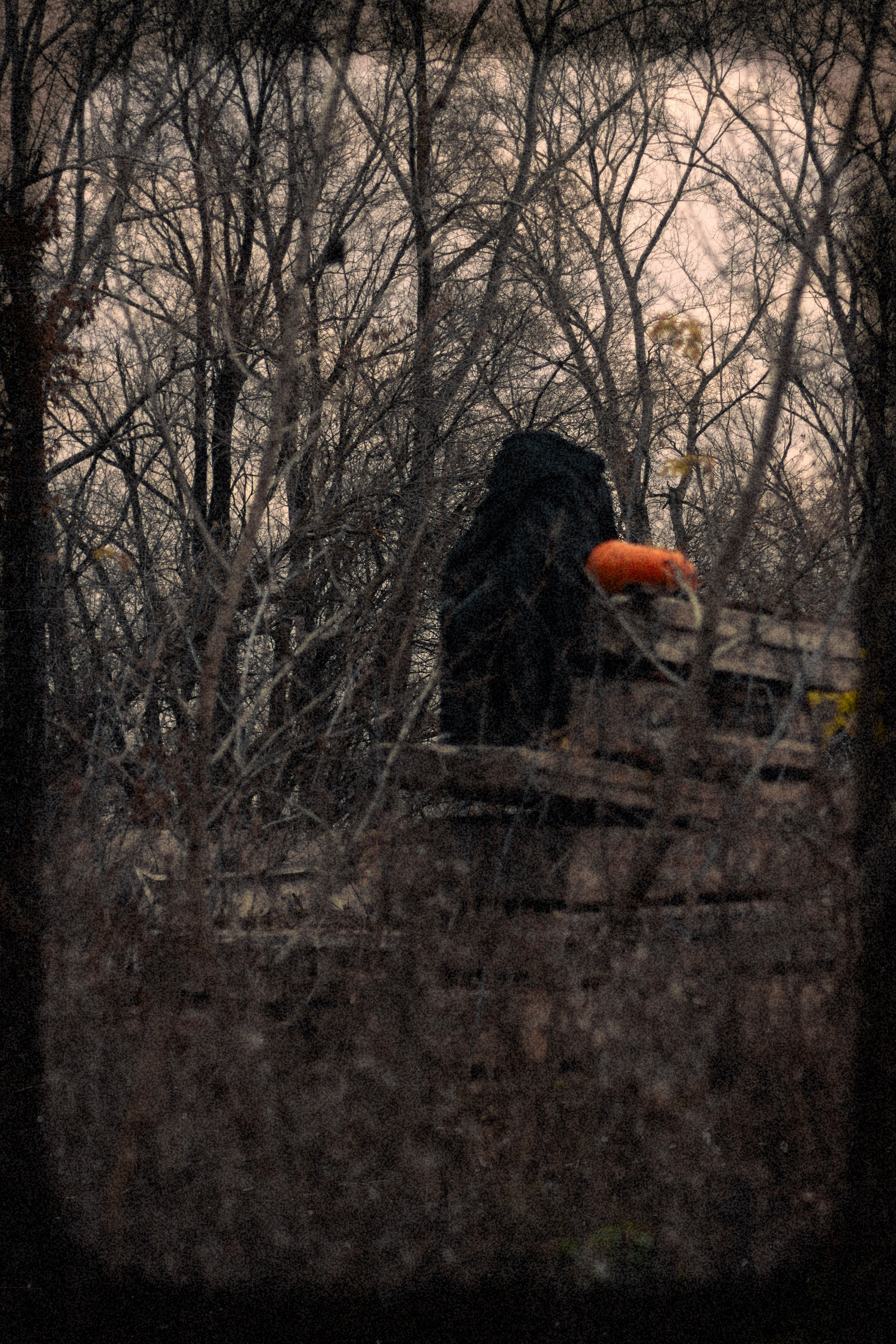 Проект «тыквоголовые». Фотограф Удмуртия