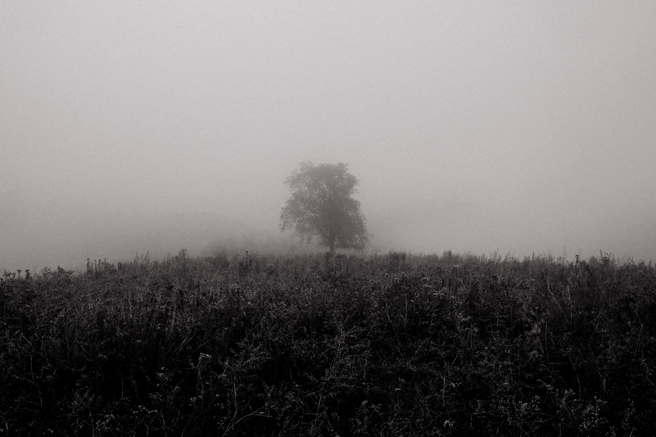 Открытки. Ostryakov Daniil Photographer