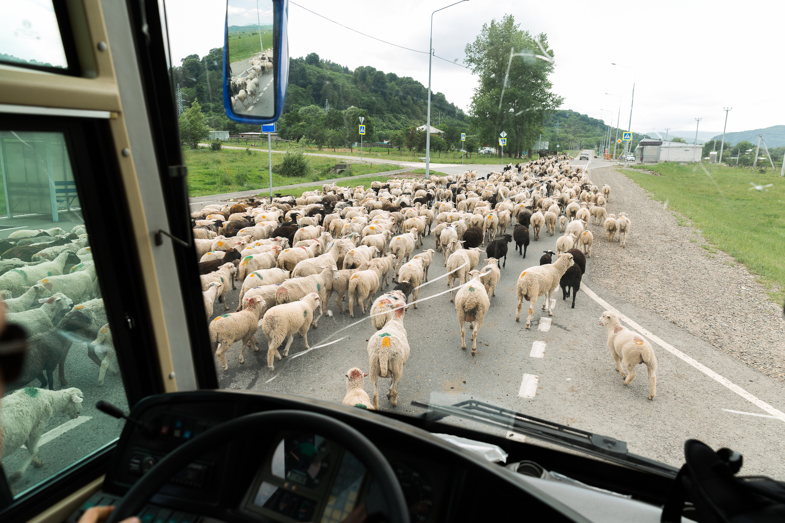 Лада. Свадебный фотограф  Пятигорск, Сочи, Ессентуки, Кисловодск Александр