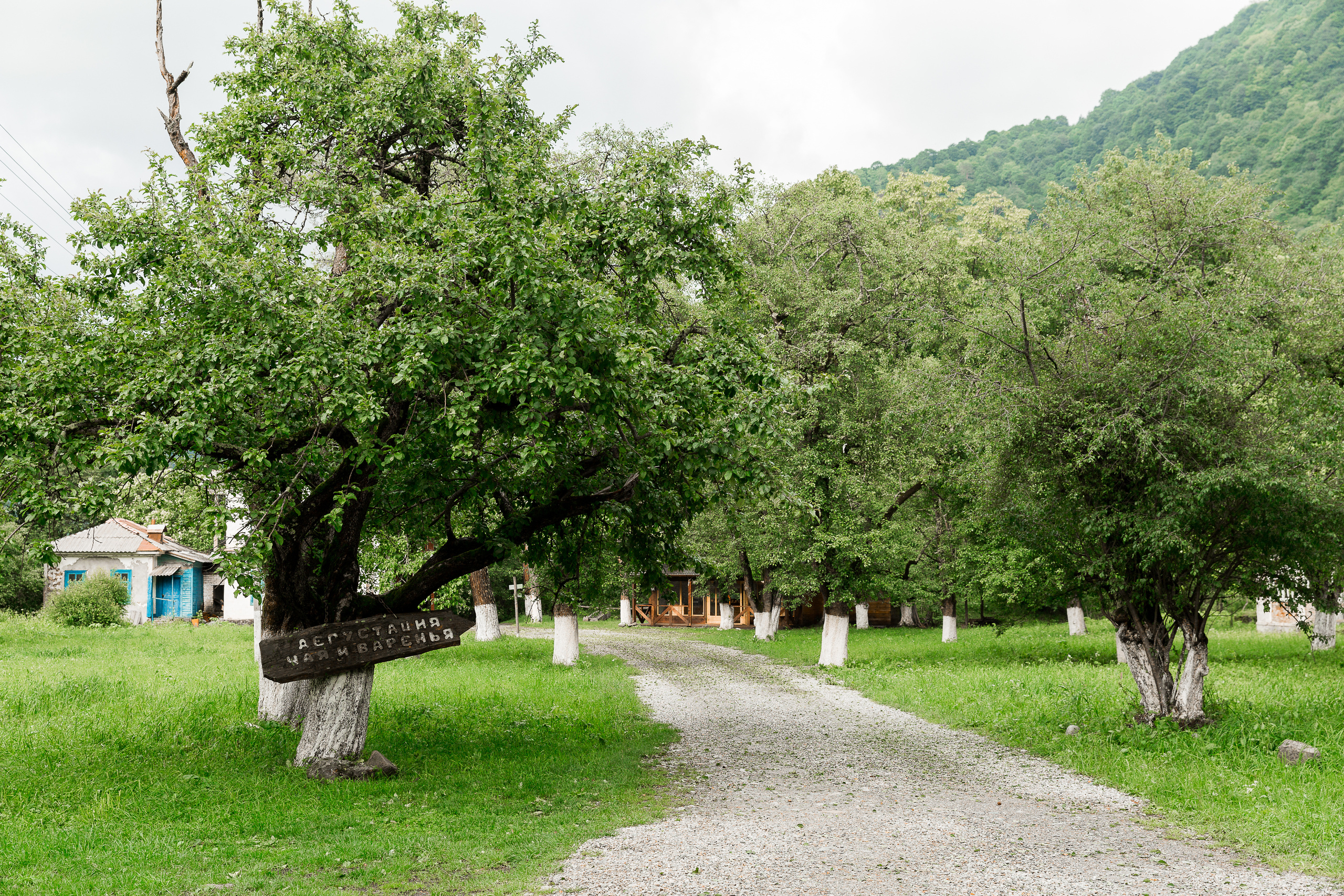 Лада. Свадебный фотограф  Пятигорск, Сочи, Ессентуки, Кисловодск Александр