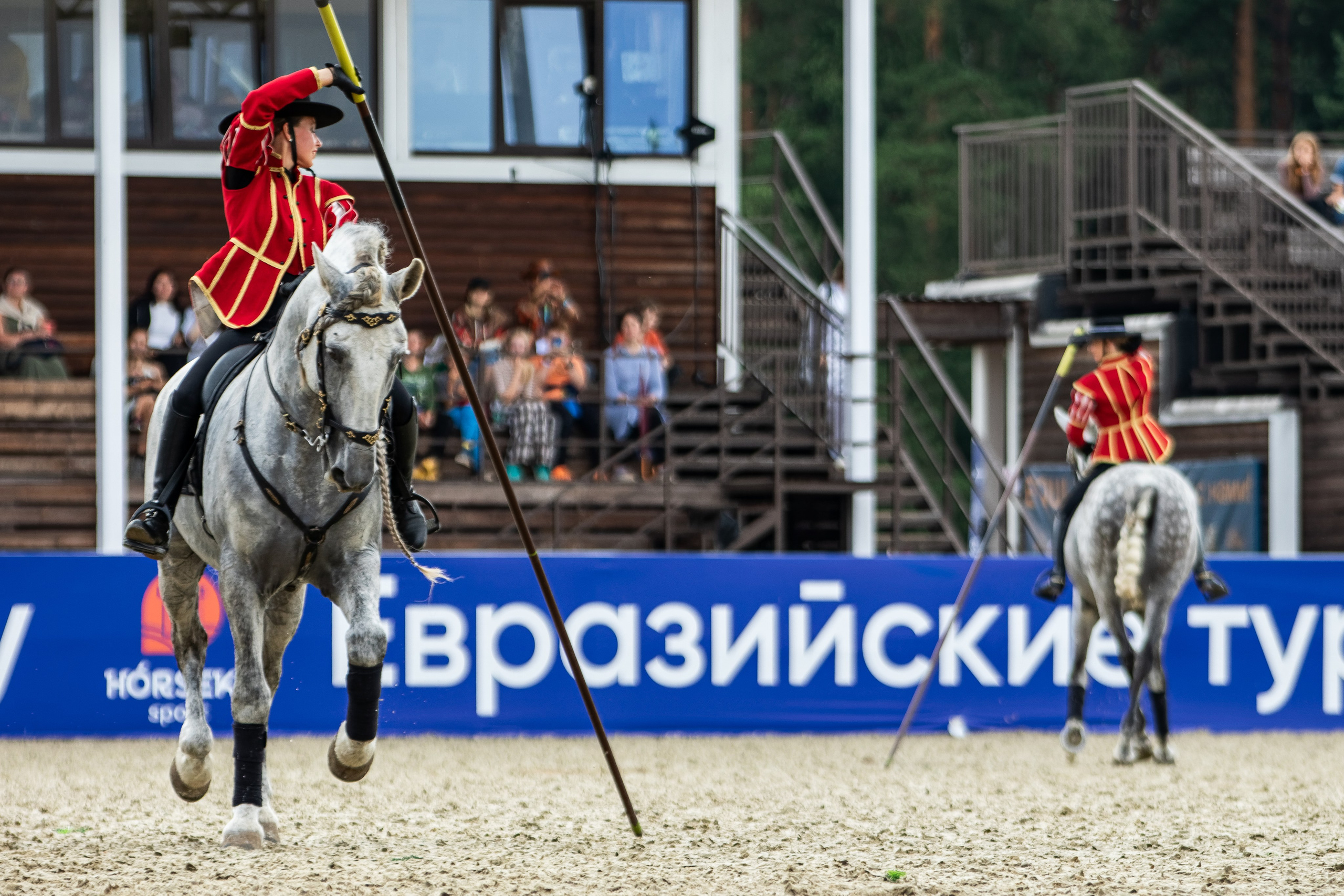 Лошади. Фотограф-анималист Юлия Зубкова
