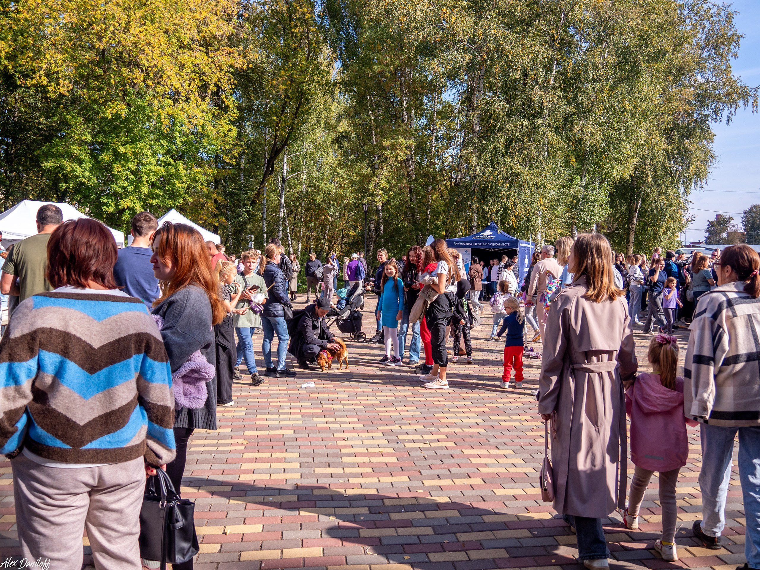 Обнимака 2025. Муром-Инфо. Новости культуры, образования, спорта в городе Муром