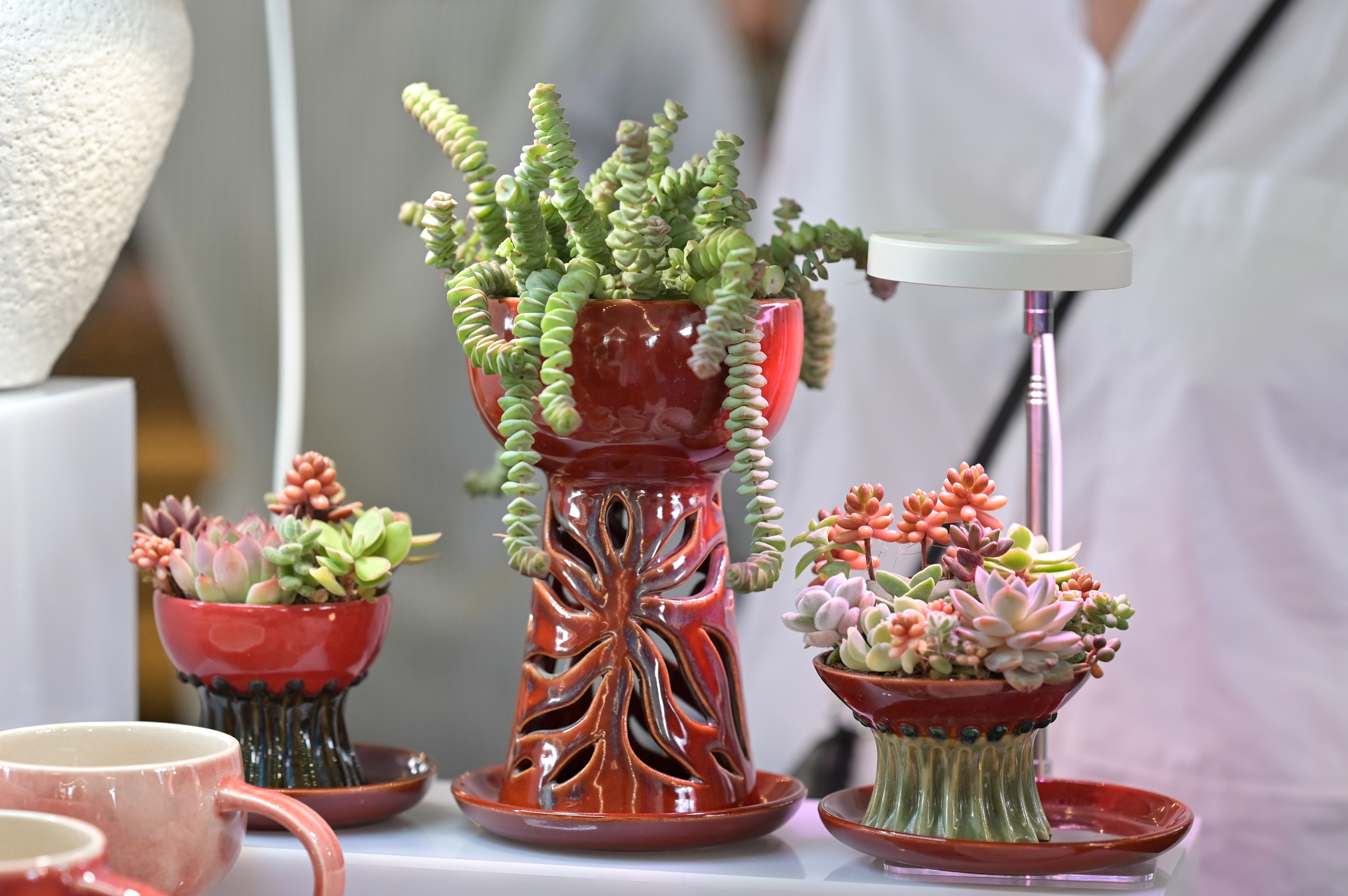 Ceramania Лето 2025 г. Семейный и репортажный фотограф в Москве Анастасия Трубкина