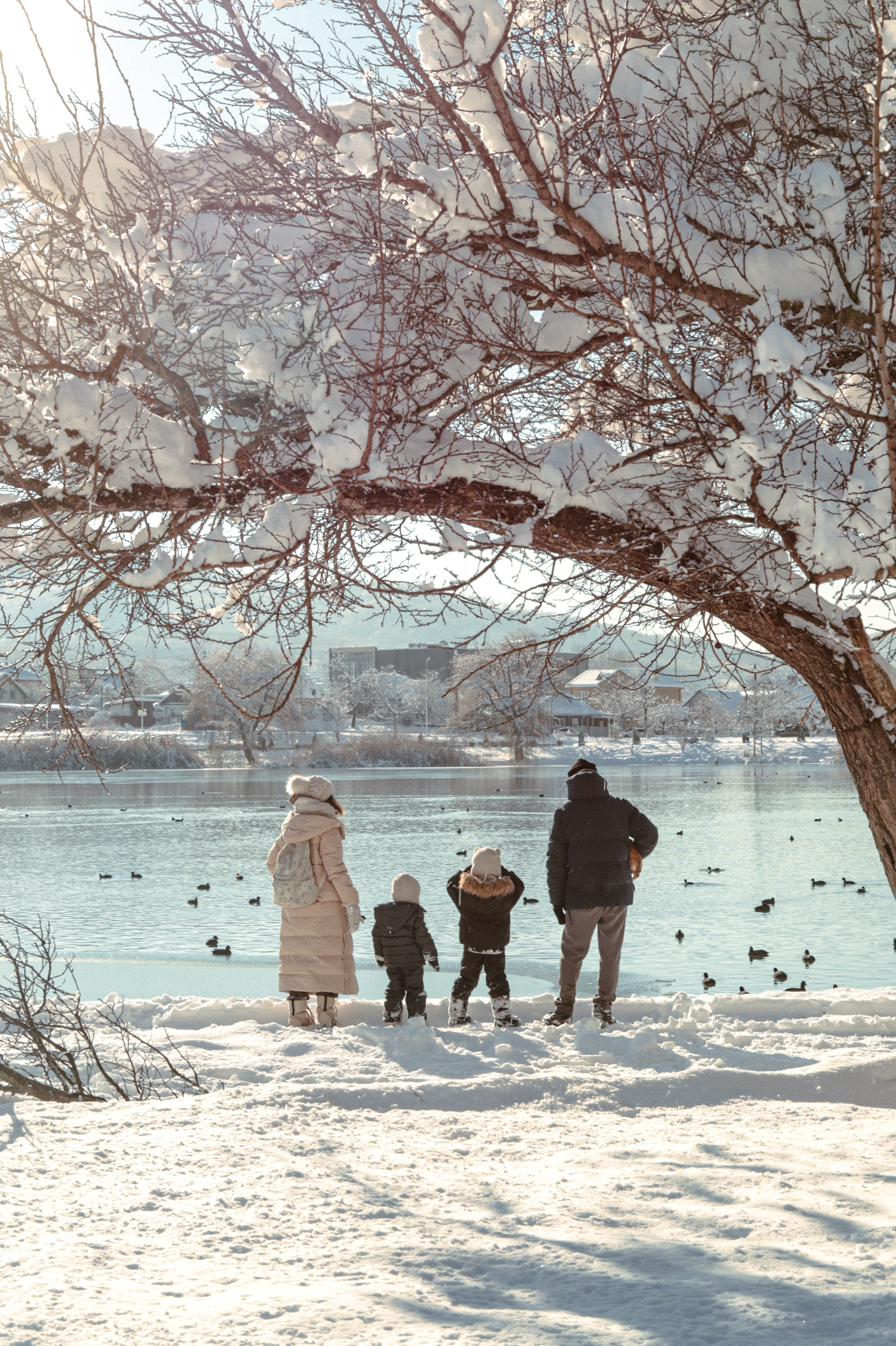 Семейные и беременность. Главная