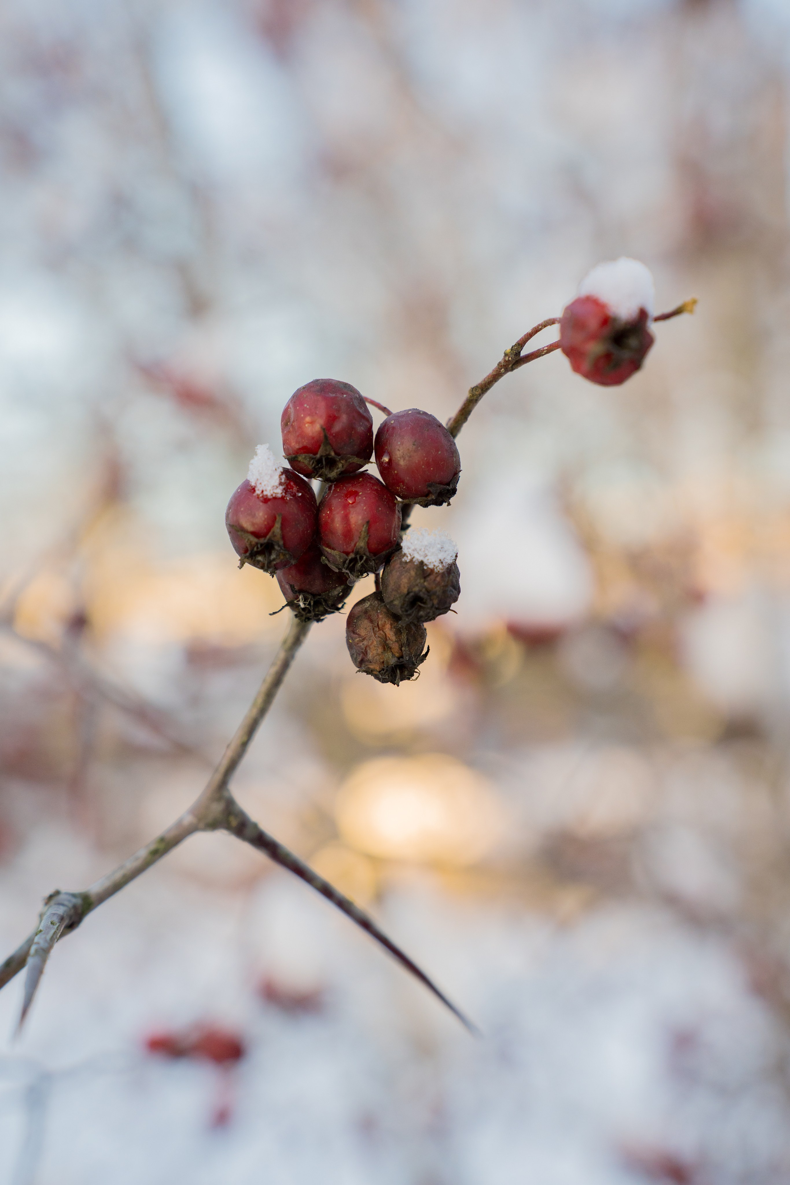 ATMOSPHERE. Фотограф Юрина Ксения Москва