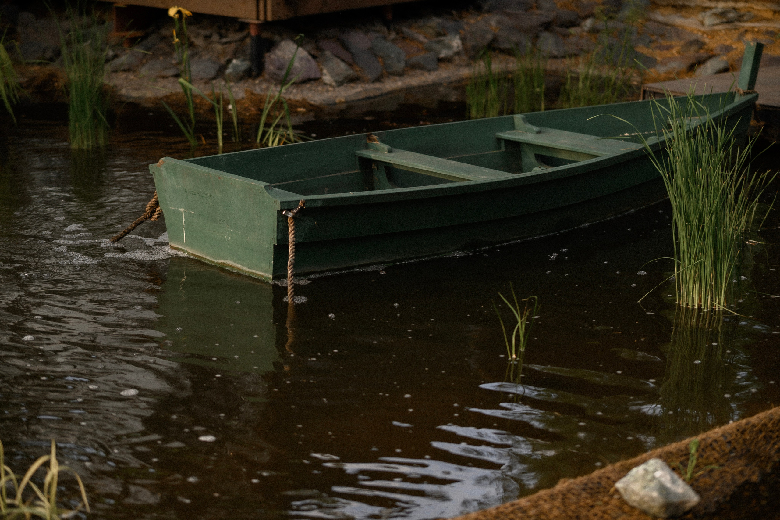 Надя и Алиса в ресторане Кедр. Семейный и свадебный lifestyle-фотограф в Москве Мария Петрова
