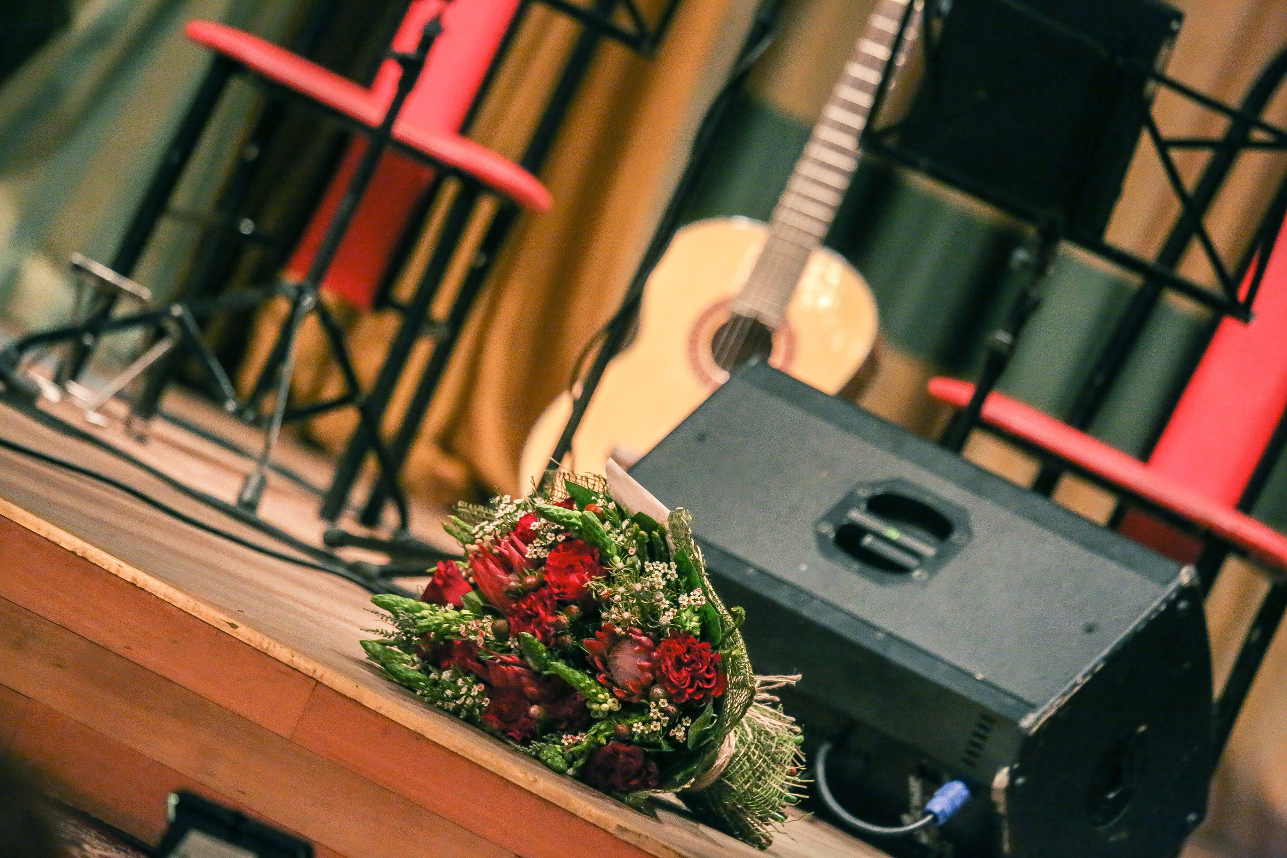 Концерт в Доме ученых 26 октября 2017. Дарья Письменюк / Darya Leitstern — фотограф, музыкант, журналист, путешественник