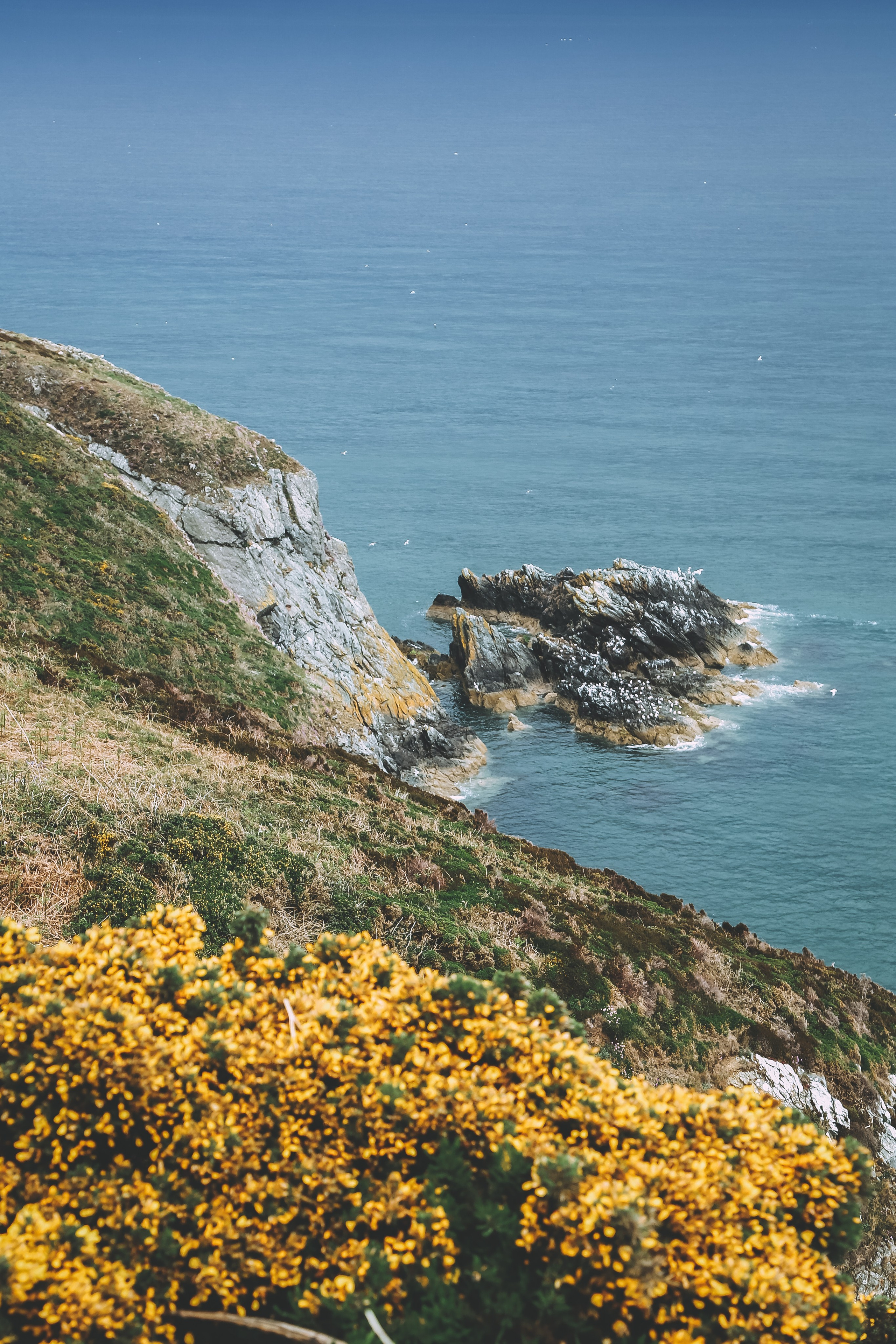 Ирландия: Хоут — тропинка на одного. Дарья Письменюк / Darya Leitstern — фотограф, музыкант, журналист, путешественник
