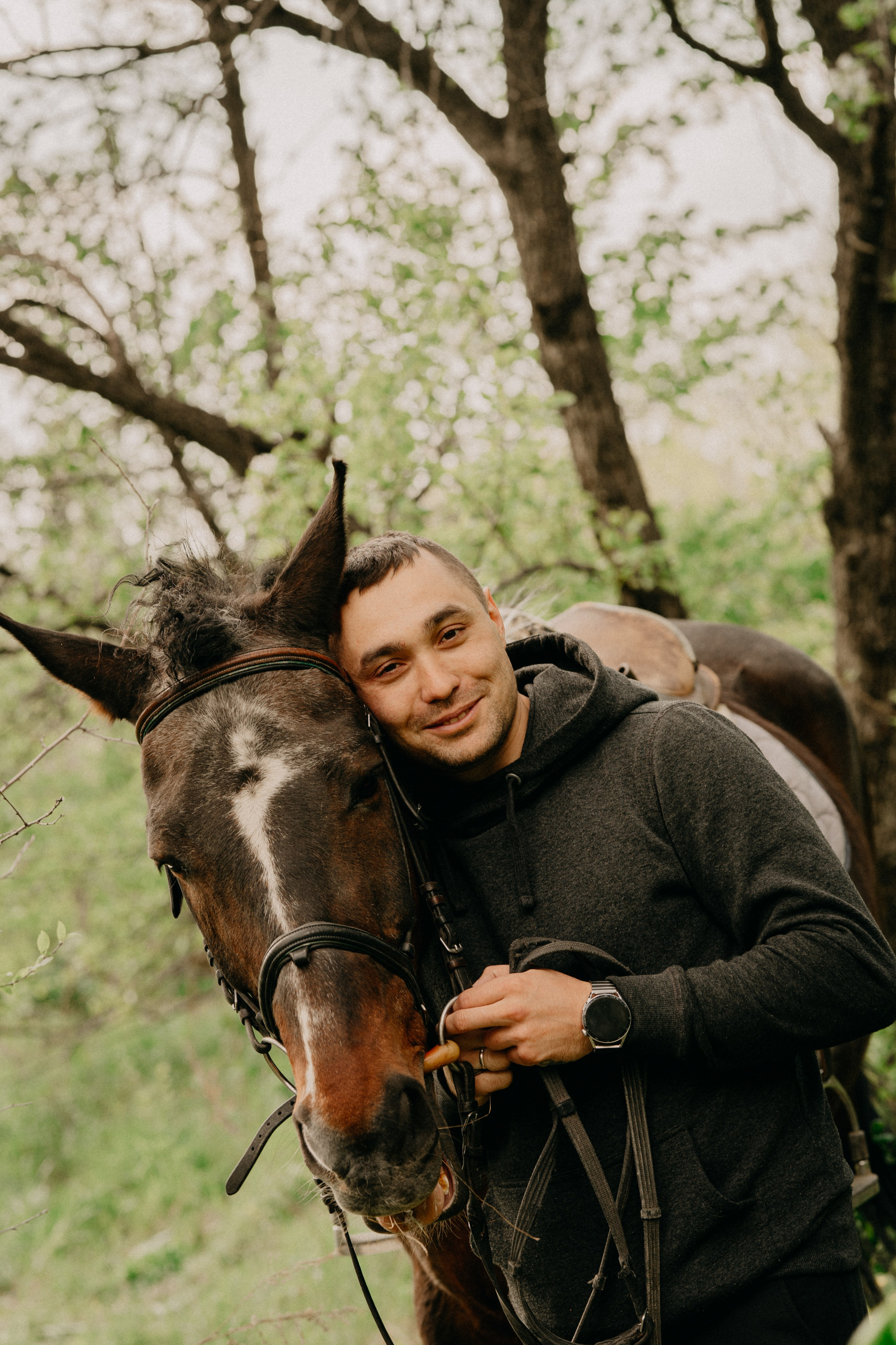 С лошадьми. Главная