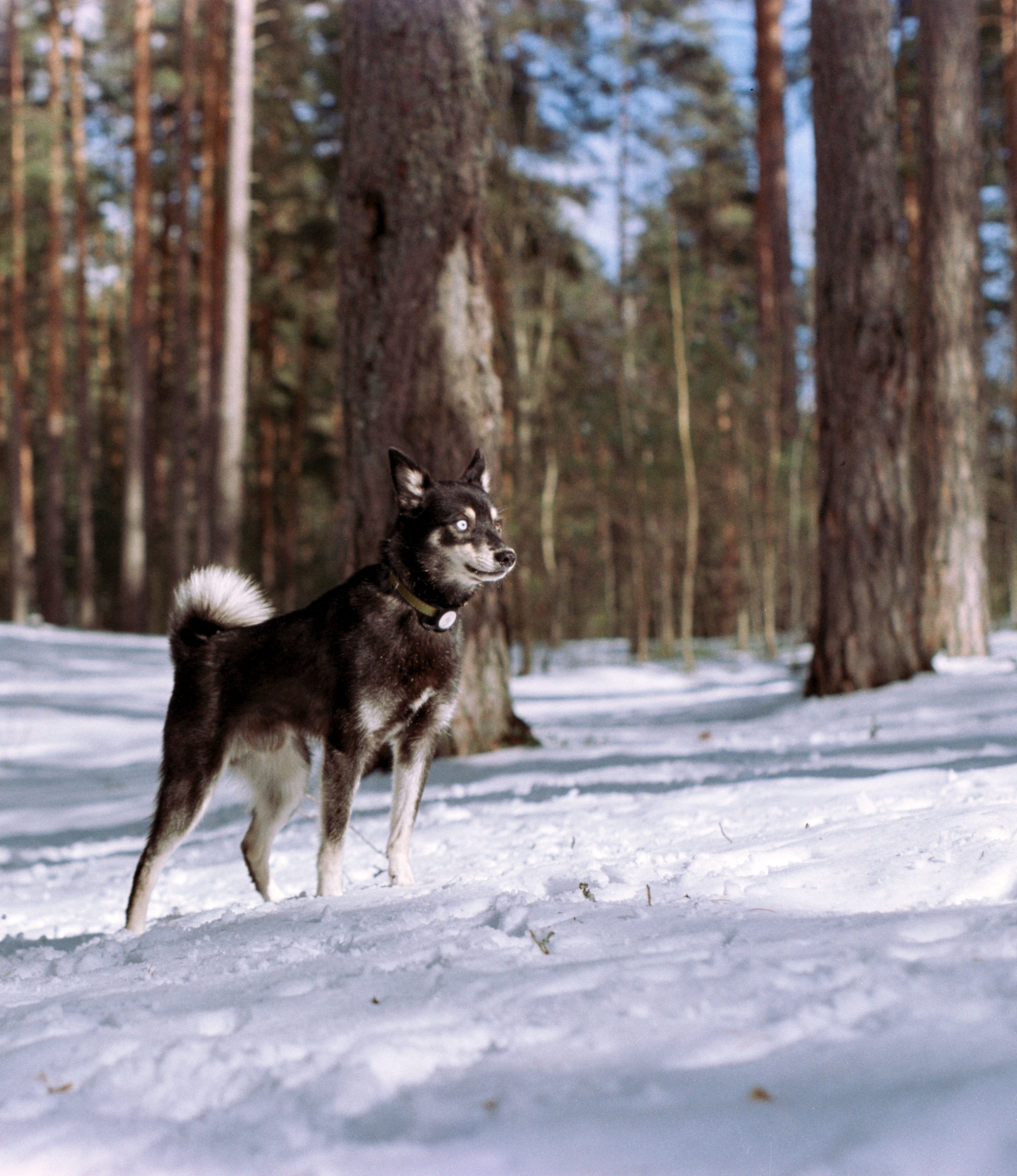 W. Стилист и плёночный фотограф Анастасия Шлокова в Санкт-Петербурге и Москве